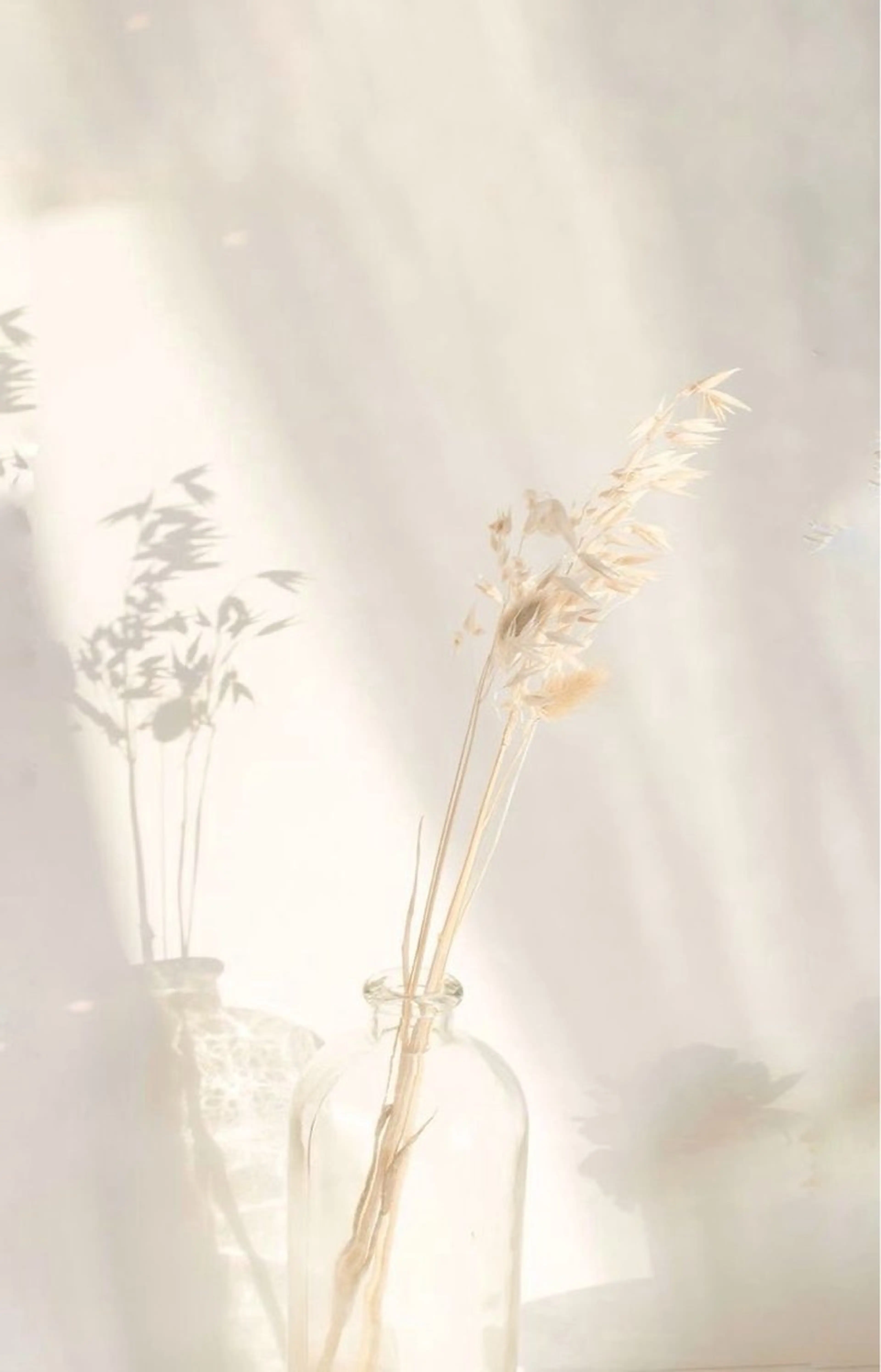 CSサロン Amule所属・Amule anna🦋のエステ・リラクイメージ