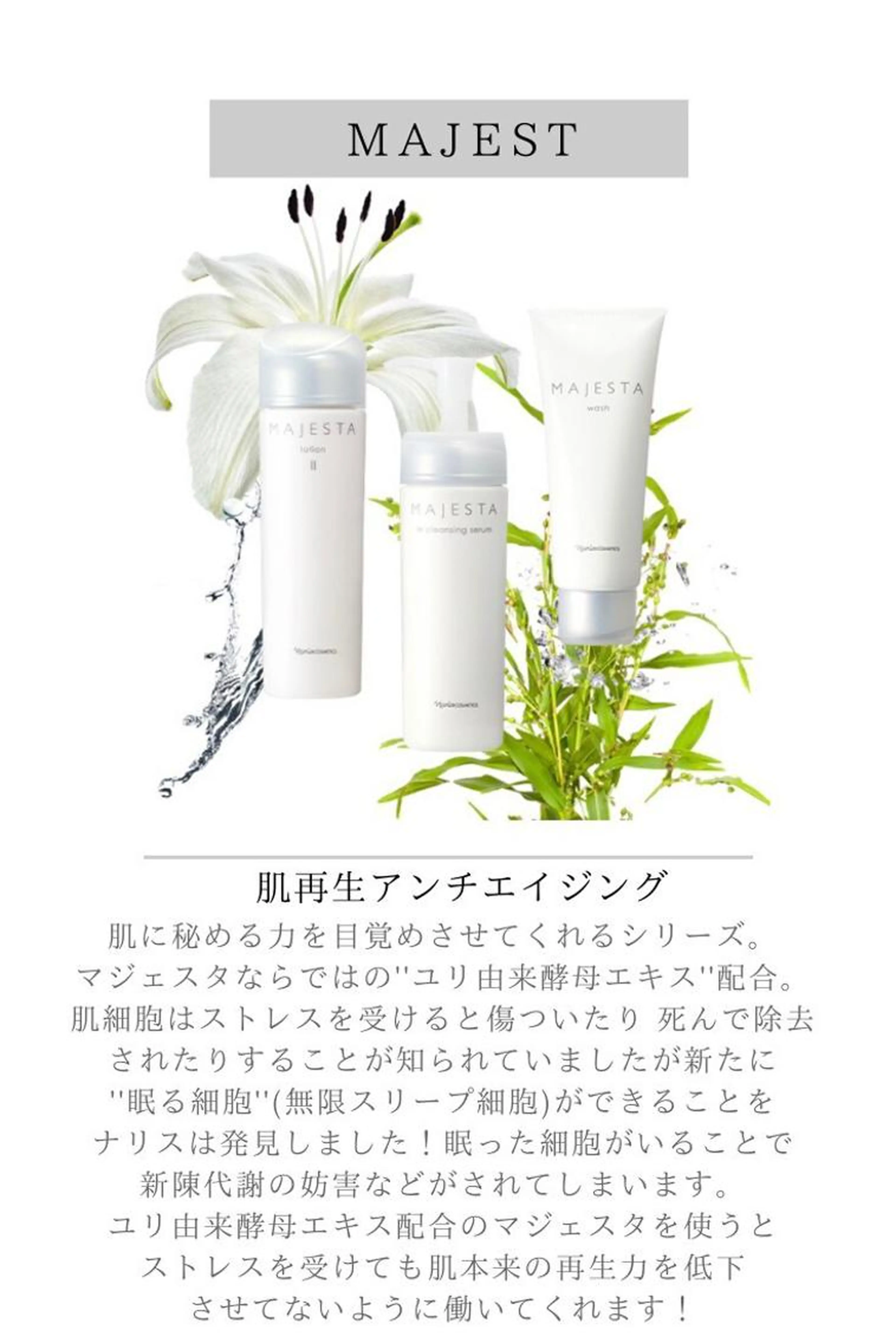 1ヶ月スキンケアモニターエイジングケアコースの写真