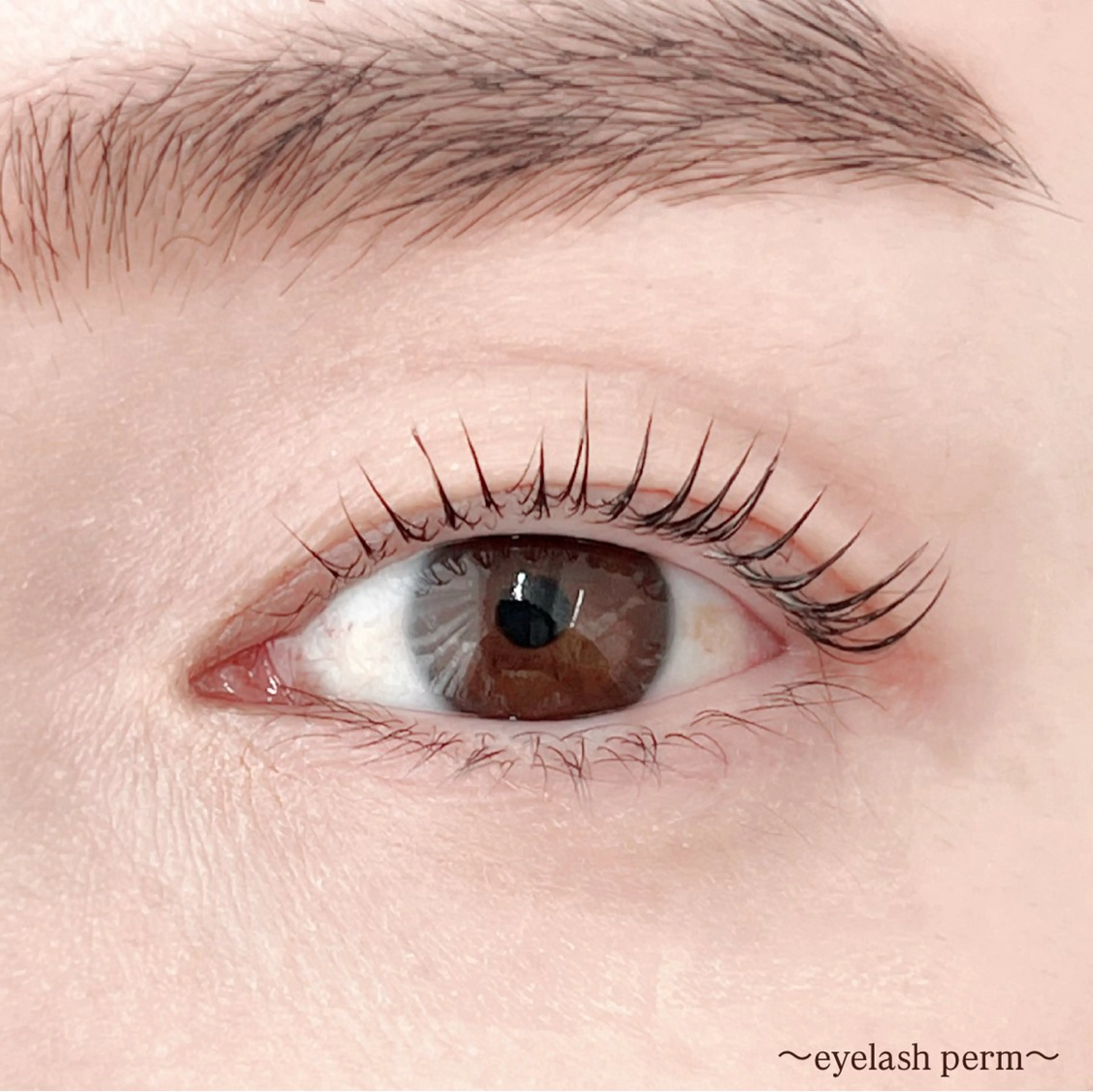 マツエク・マツパ 田村 莉子のマツエク・マツパデザイン