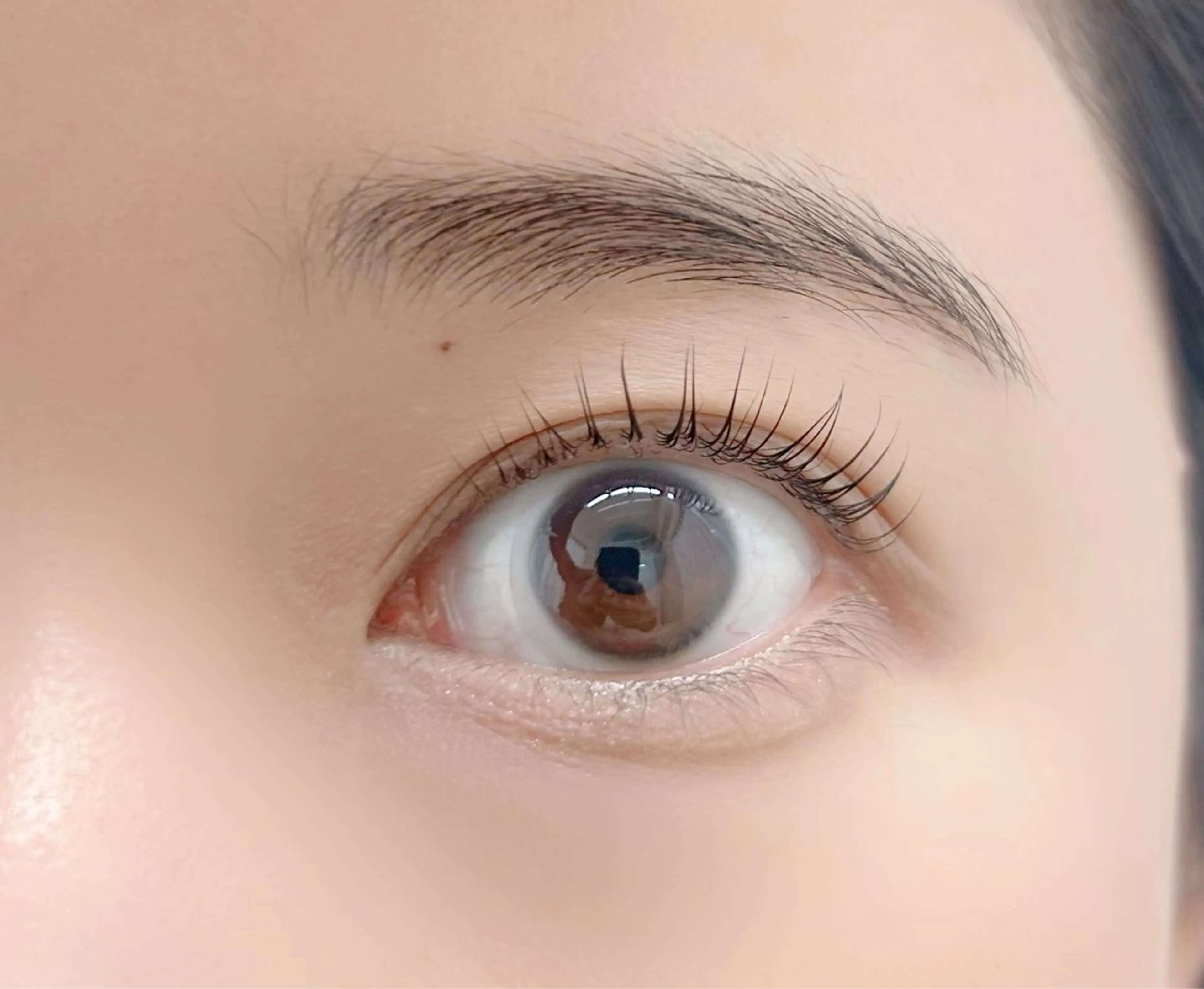 【ご新規様】コスメラッシュリフトの写真