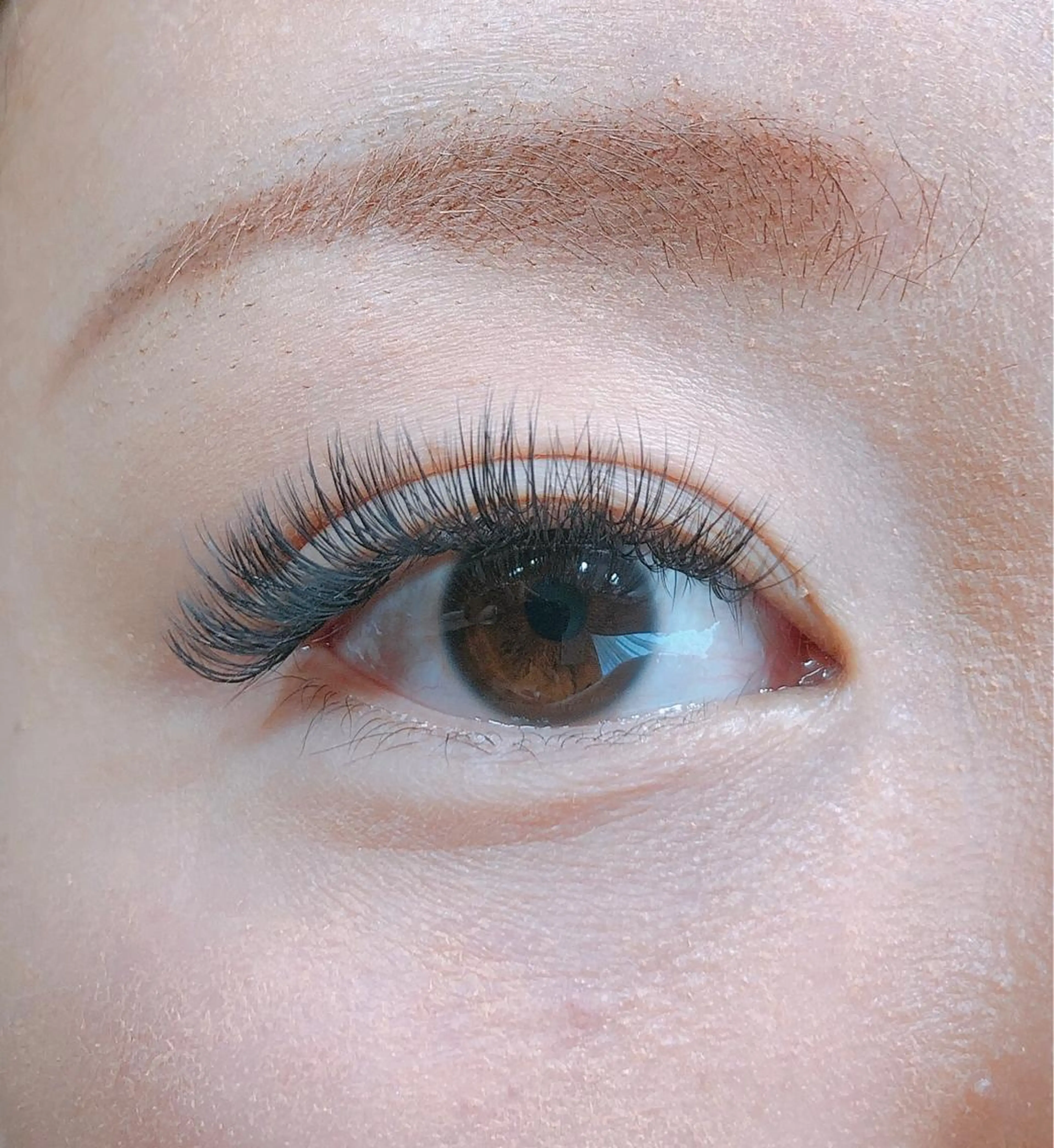 マツエク・マツパ ボリュームラッシュ Calin カランのマツエク・マツパデザイン