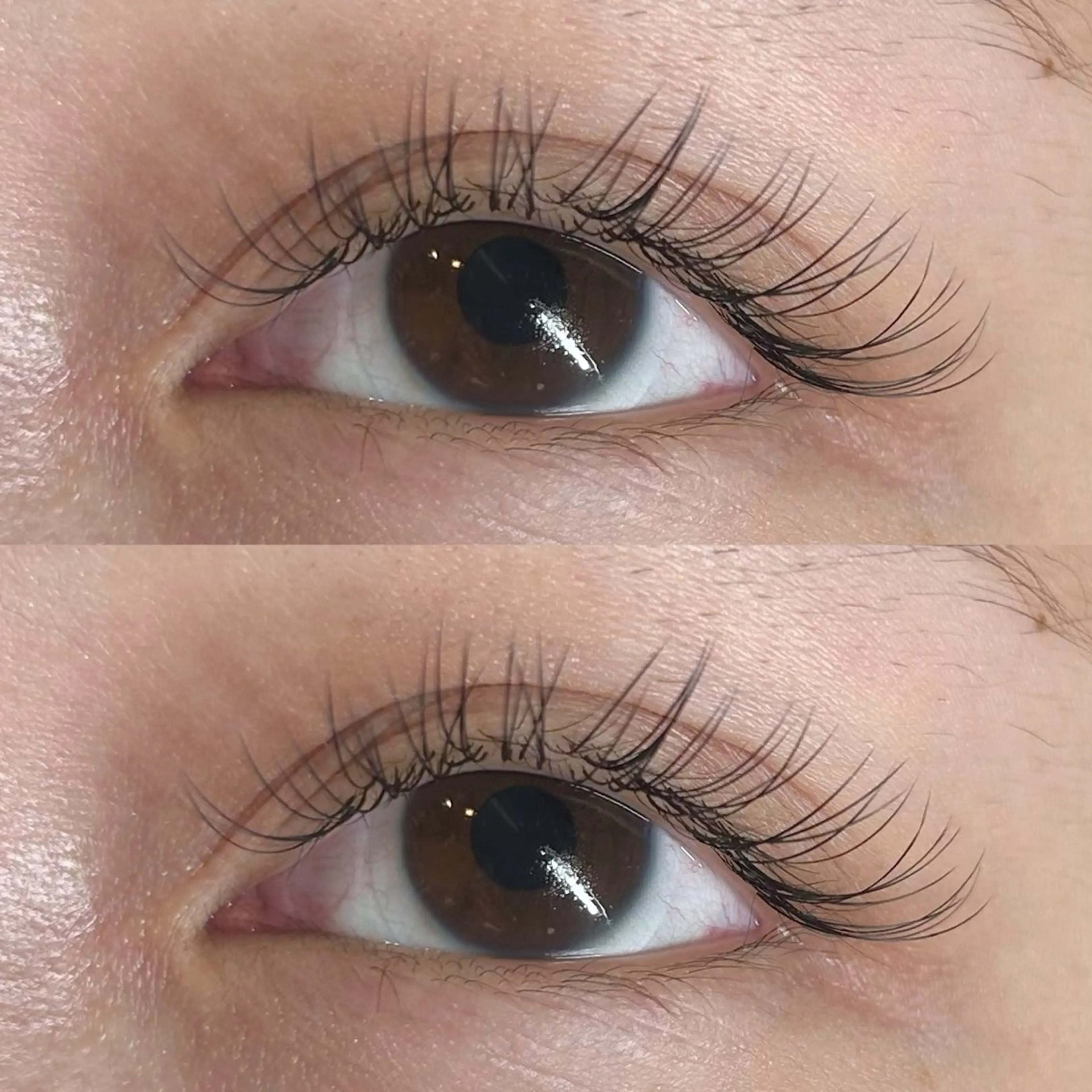 マツエク・マツパ マツエク Rise 🎀のマツエク・マツパデザイン