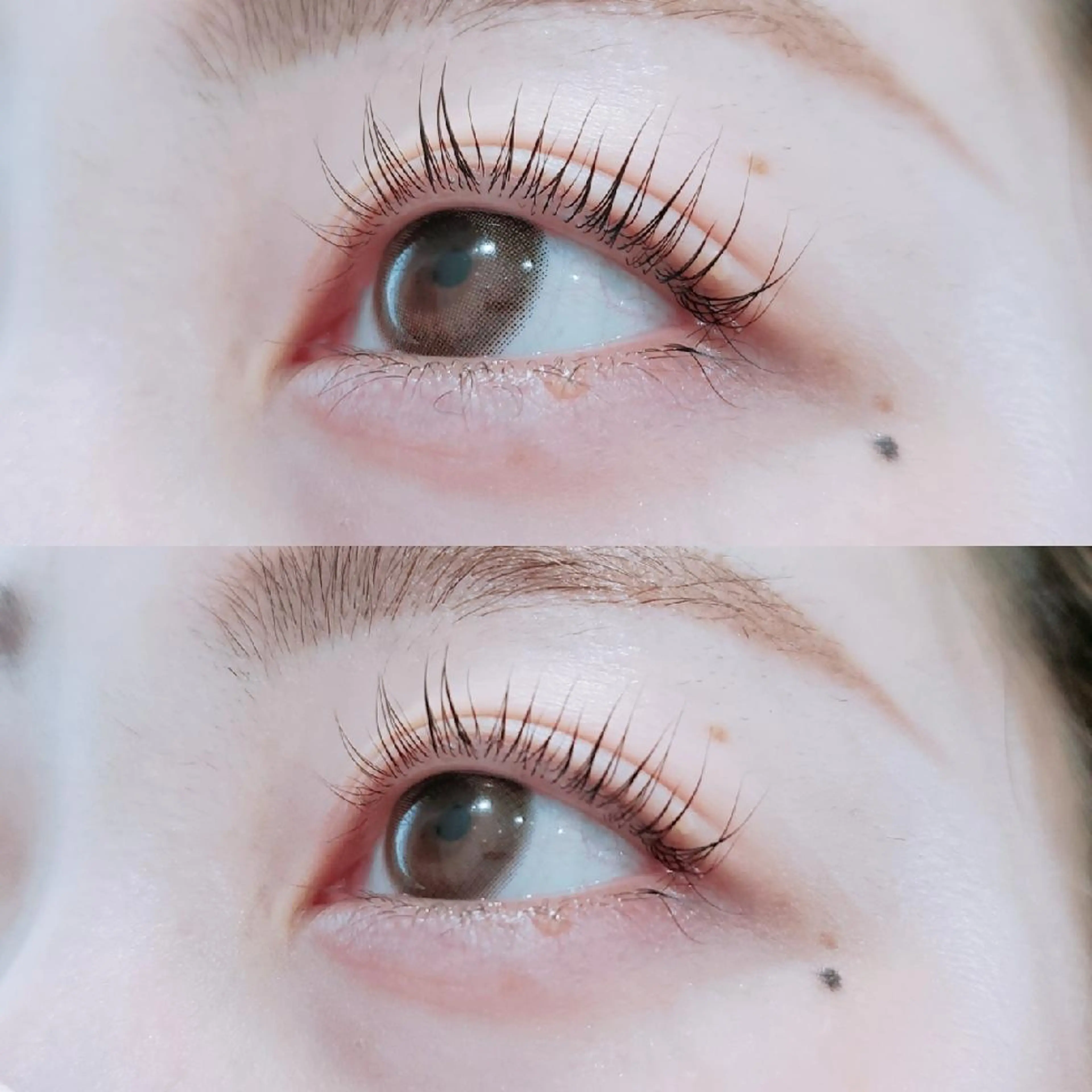 🌷オフ込みパリジェンヌラッシュ🌷の写真