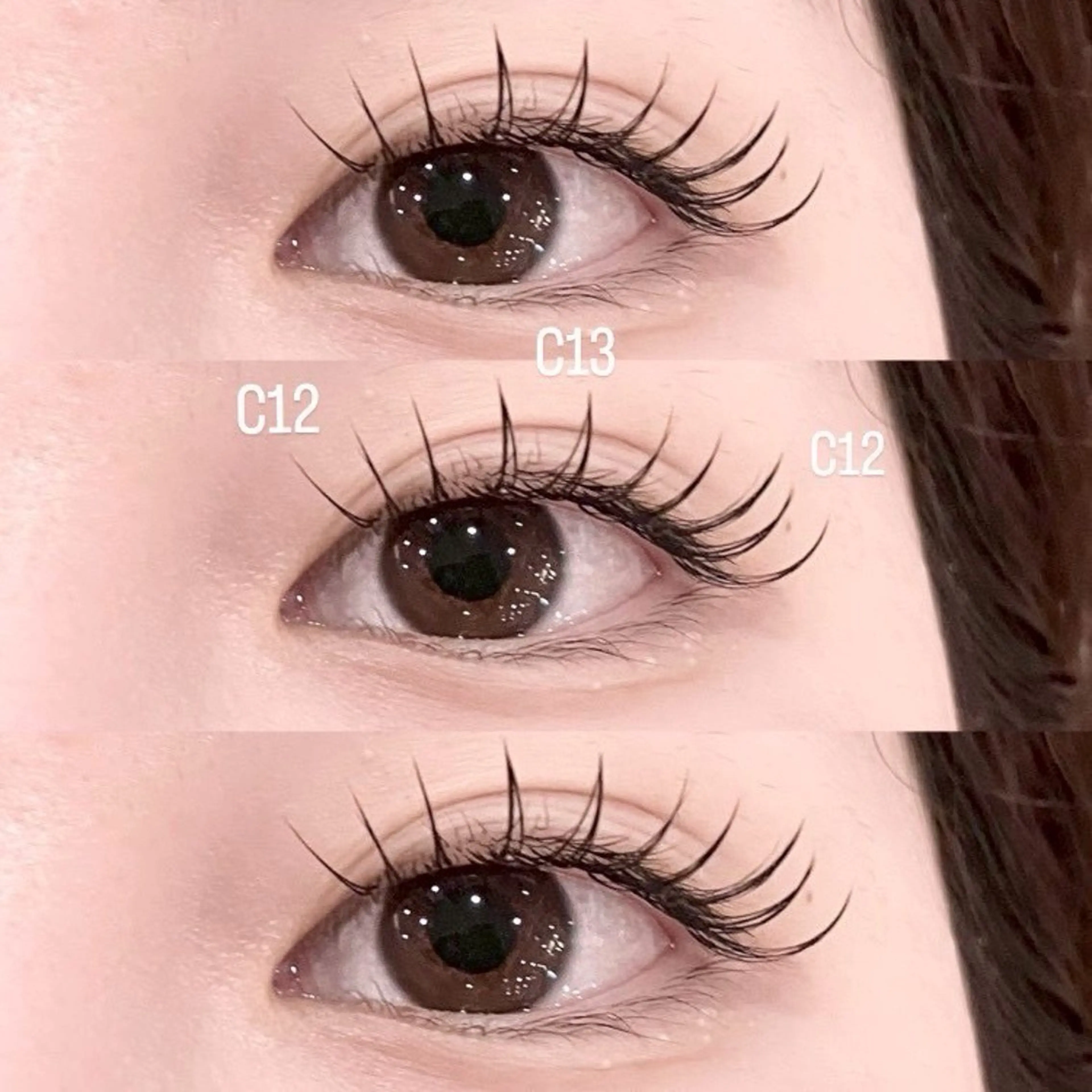 【🍑①モデル様限定価格🍑】(オフなし🪄︎︎)セーブル80-100本の写真