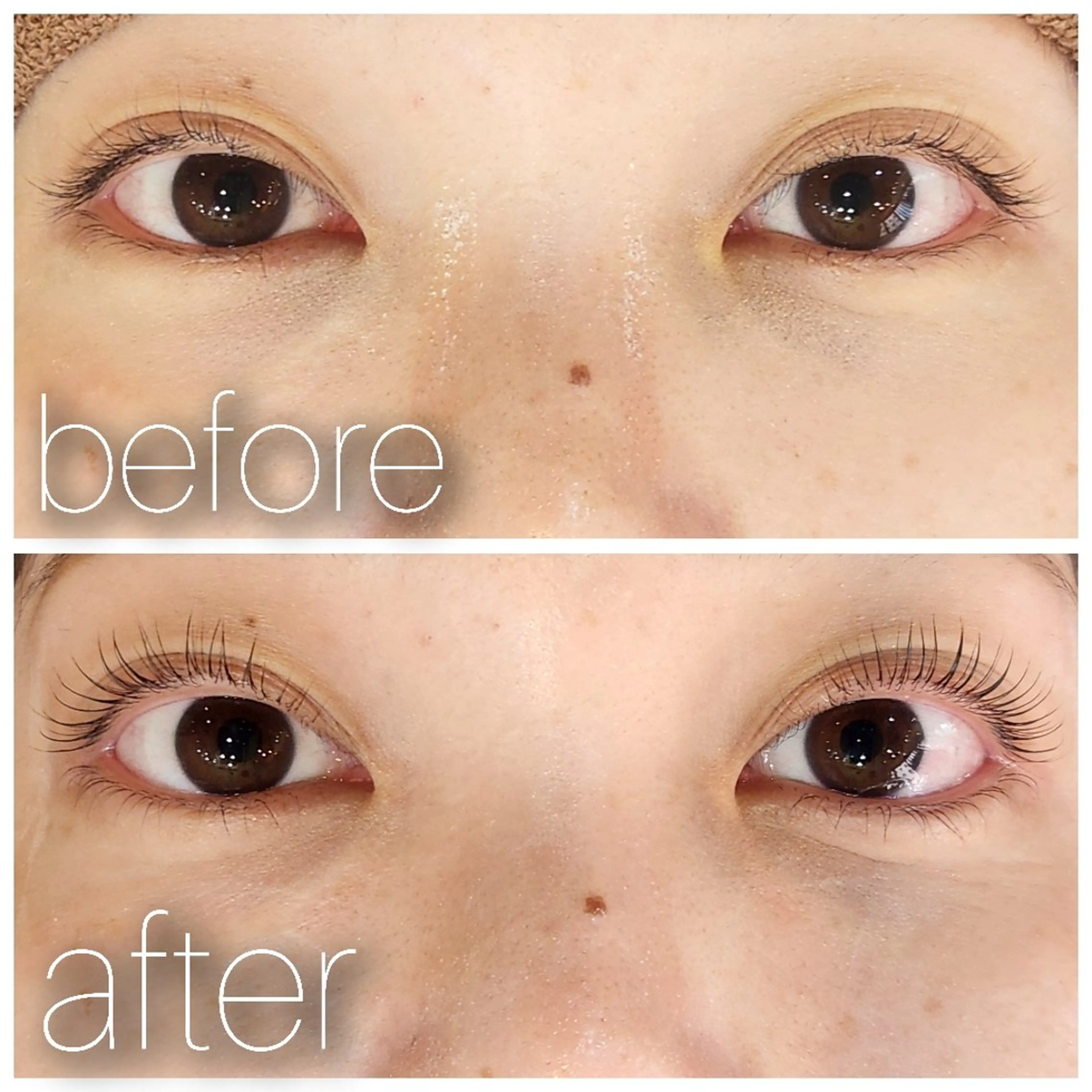 マツエク・マツパ Cカール まつげパーマ 下まつげエクステ アイリスト 🍓みやむらのマツエク・マツパデザイン