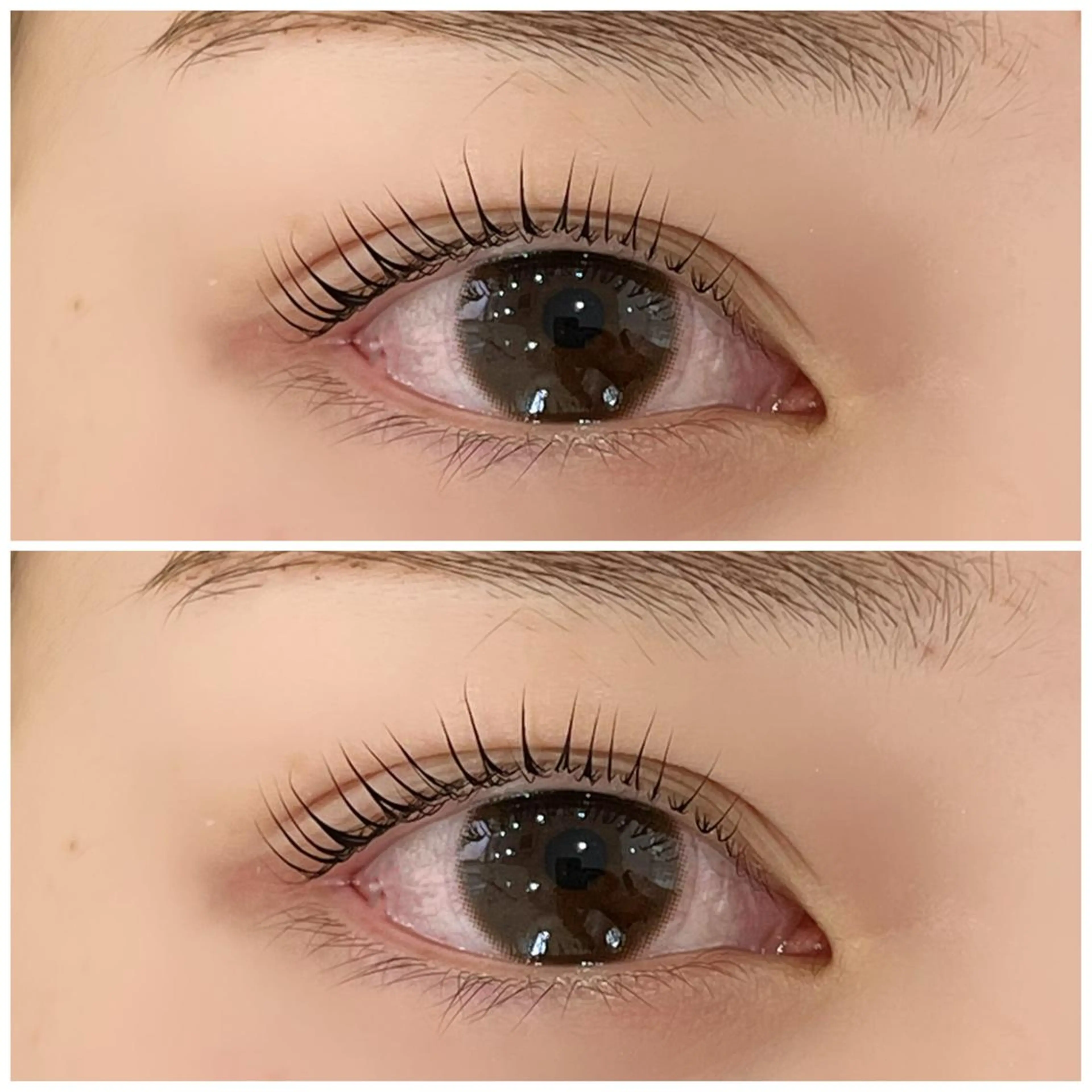 パーマ ミントラッシュ　　八王子店所属・. 𝗬𝗨のマツエク・マツパデザイン