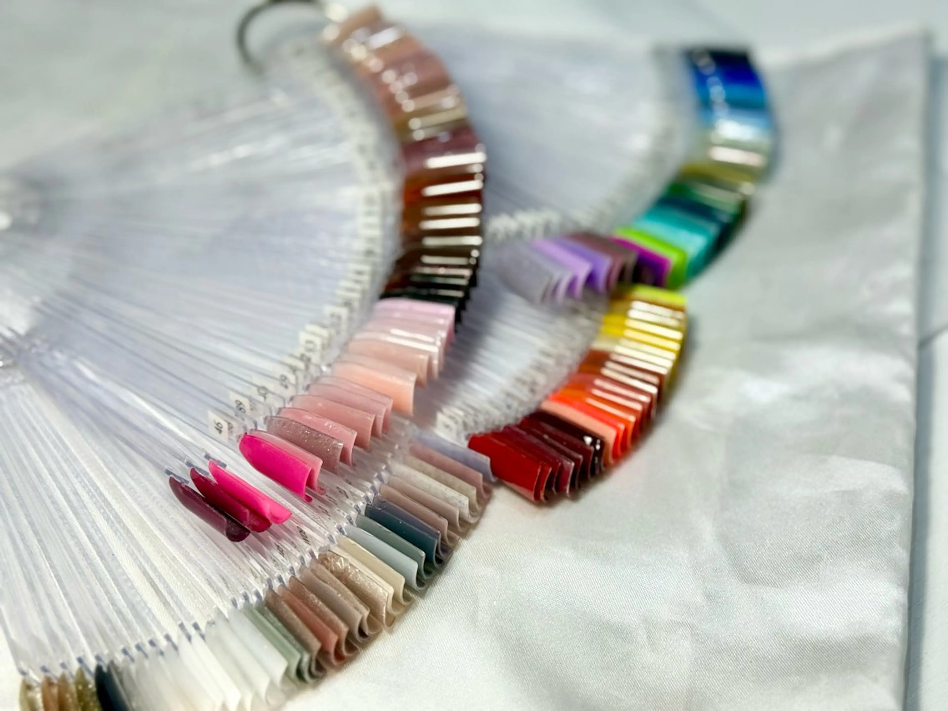 ワンカラーの写真