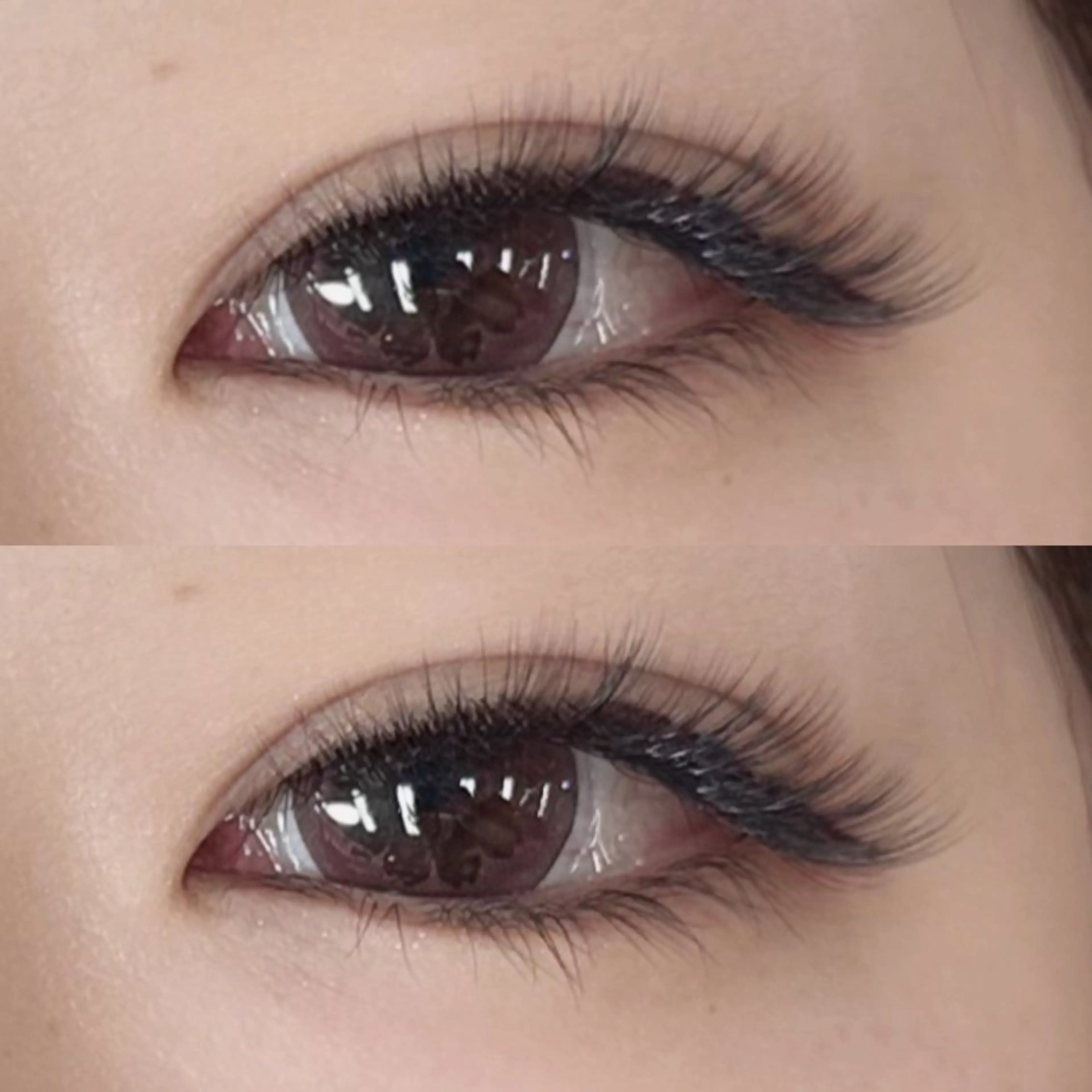 マツエク・マツパ マツエク 【amii】曽根🥀 /束感/エク/パリのマツエク・マツパデザイン