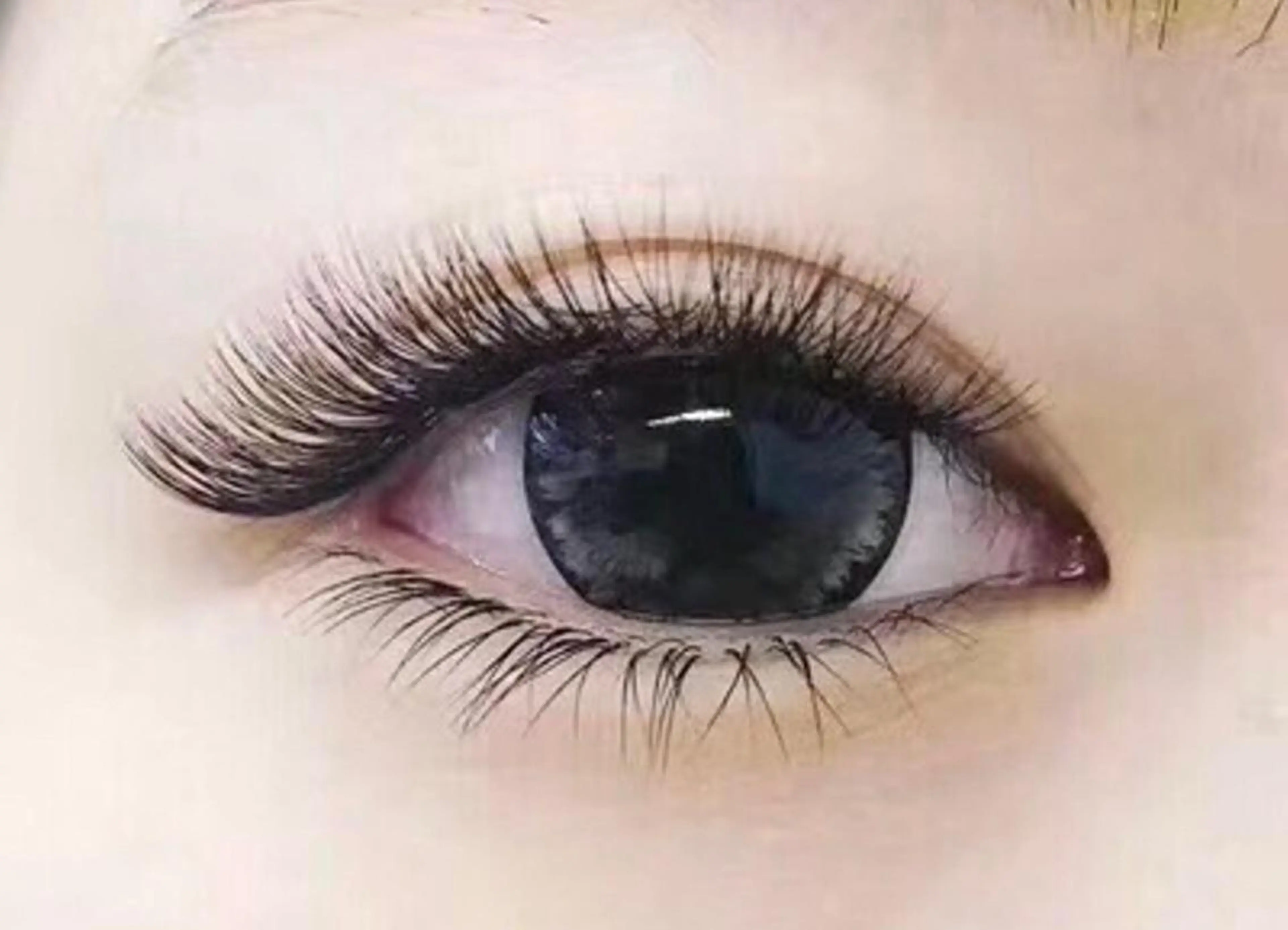 【🉐再来】３Ｄボリュームラッシュ（上下）付け放題の写真