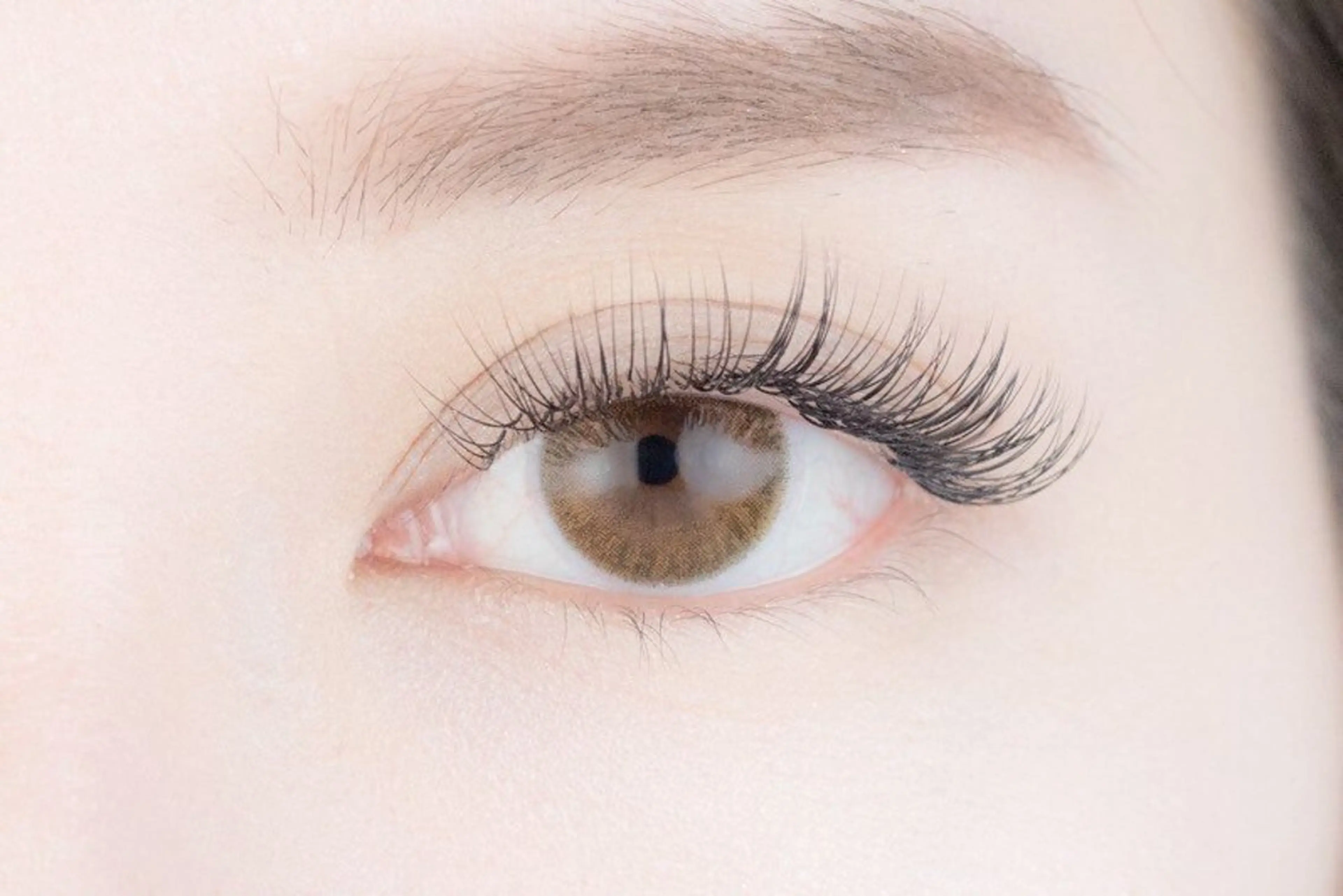 すぐ予約限定★オフなし最上級セーブル100本※10分前来店必須の写真