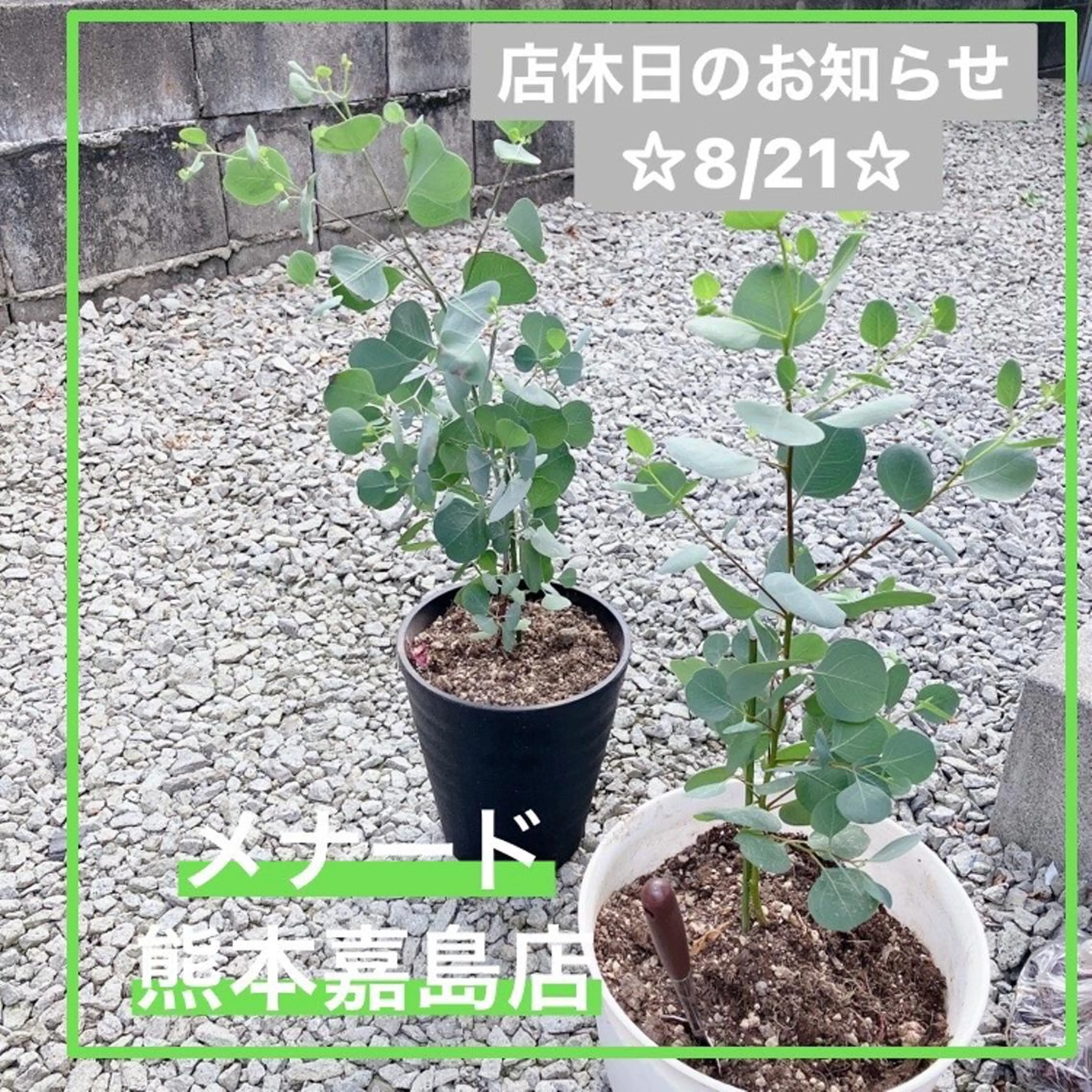 メナード熊本 嘉島のエステ・リラクイメージ