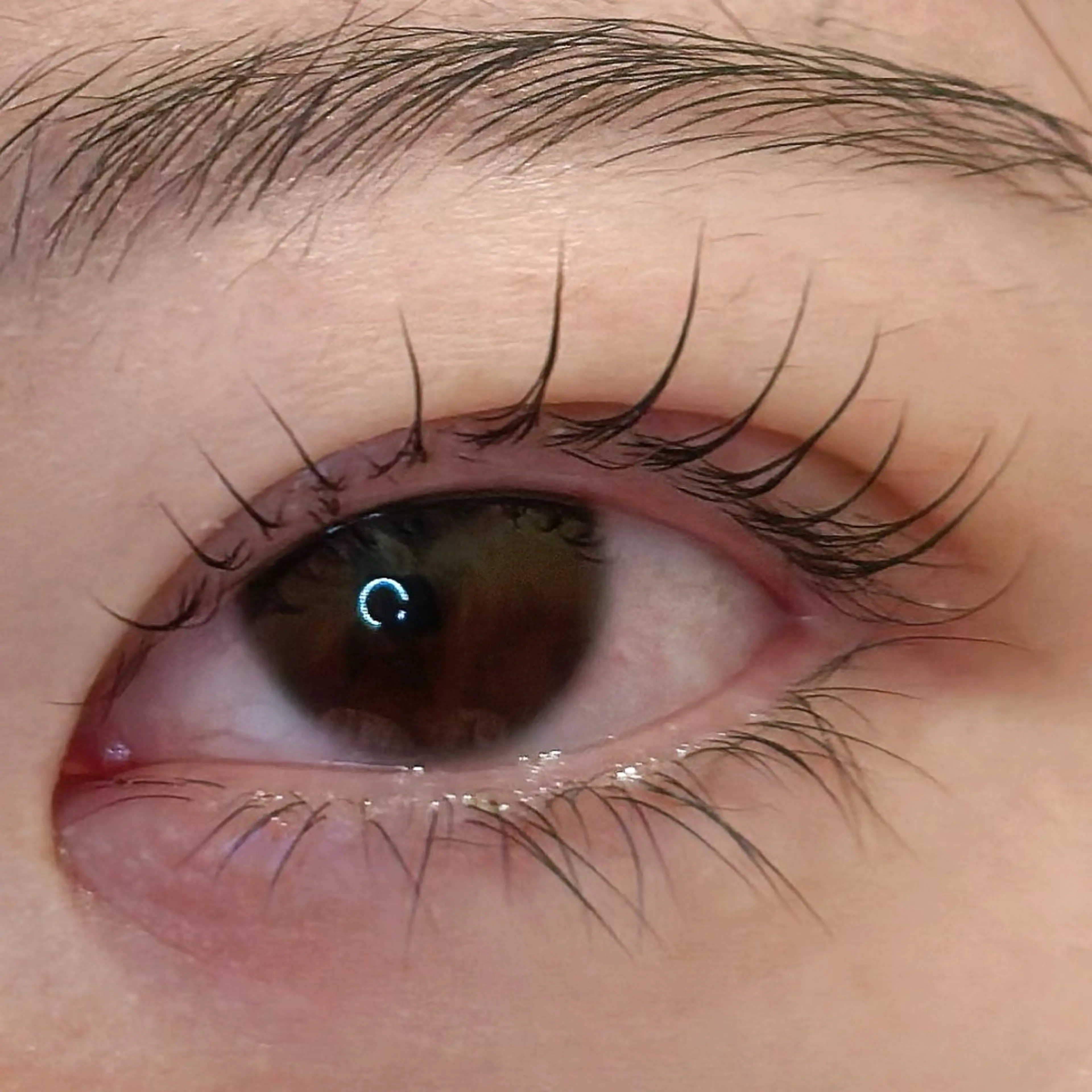 マツエク・マツパ fleur Manakaのマツエク・マツパデザイン