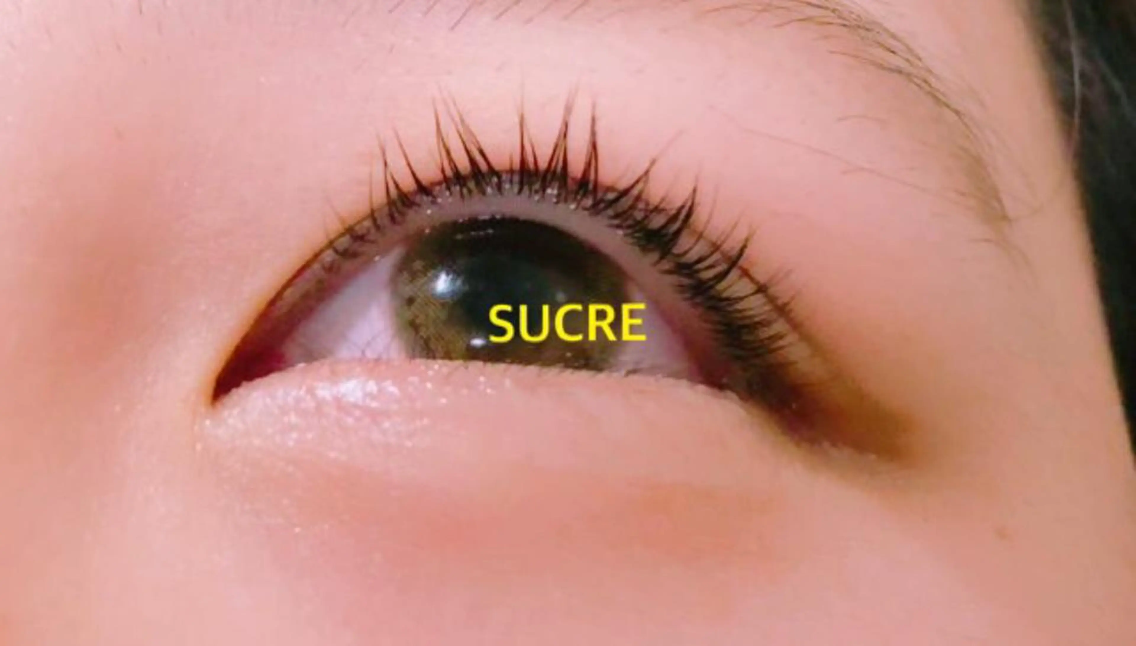 マツエク・マツパ EyelashSalon Liz.&所属・Liz.&現ino 平田のマツエク・マツパデザイン