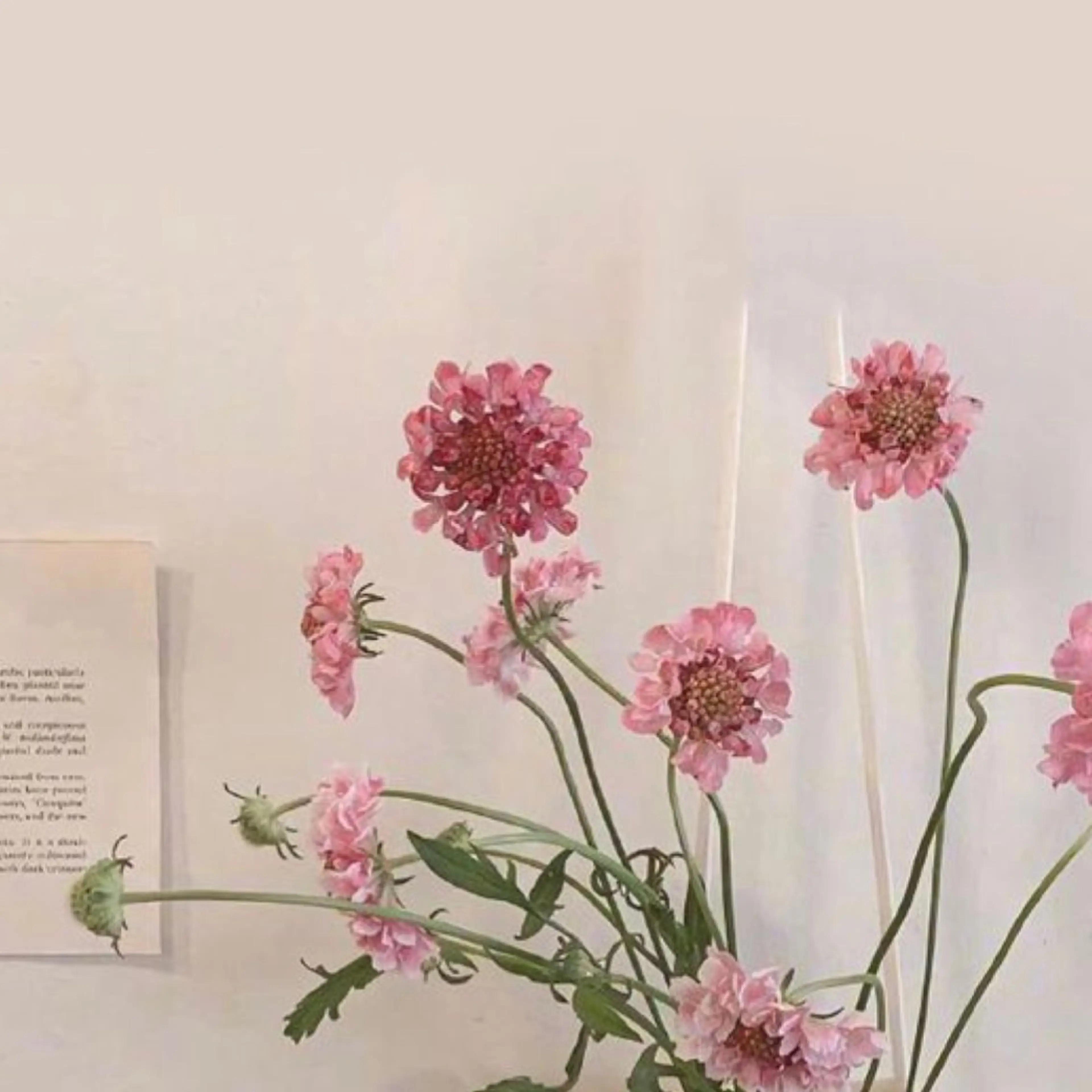 noné所属・アイリスト kanonの眉毛・アイブロウイメージ