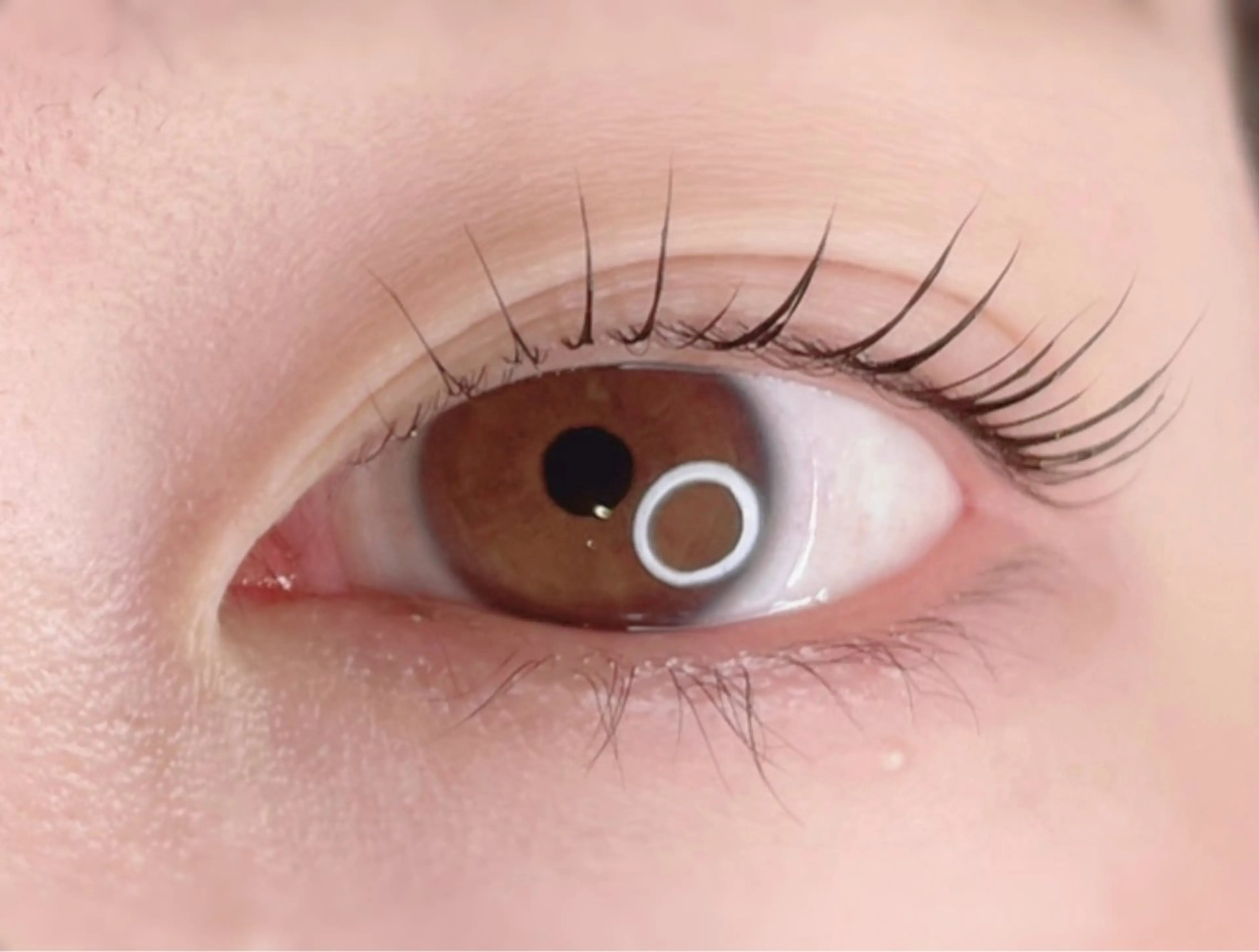 マツエク・マツパ まつげパーマ マツパ 新柏PALS ｍｉｈｏのマツエク・マツパデザイン