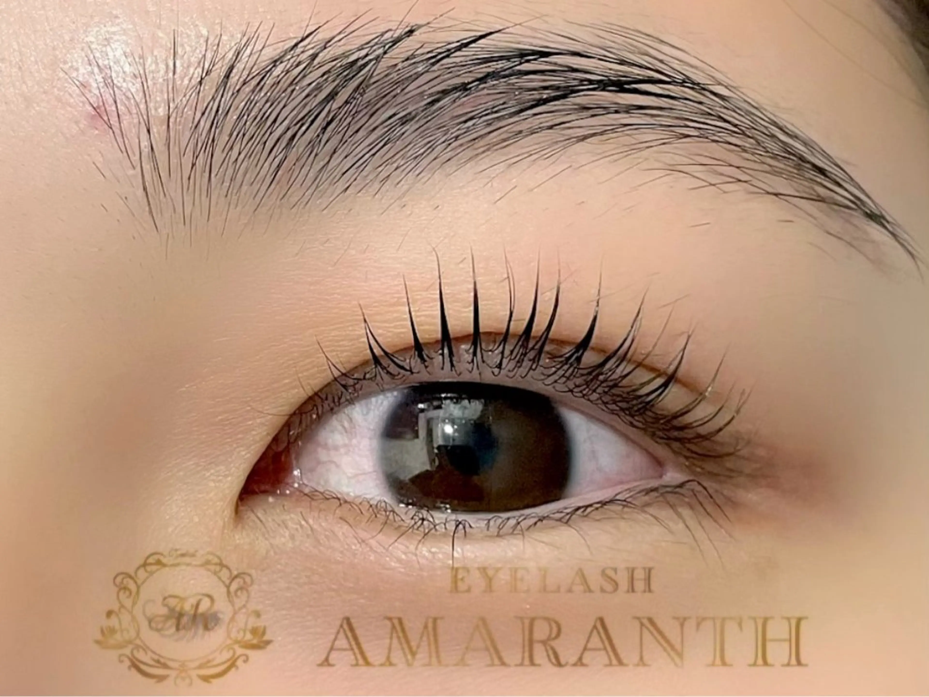 マツエク・マツパ パリジェンヌラッシュリフト 【Amaranth】 立川店🌟のマツエク・マツパデザイン