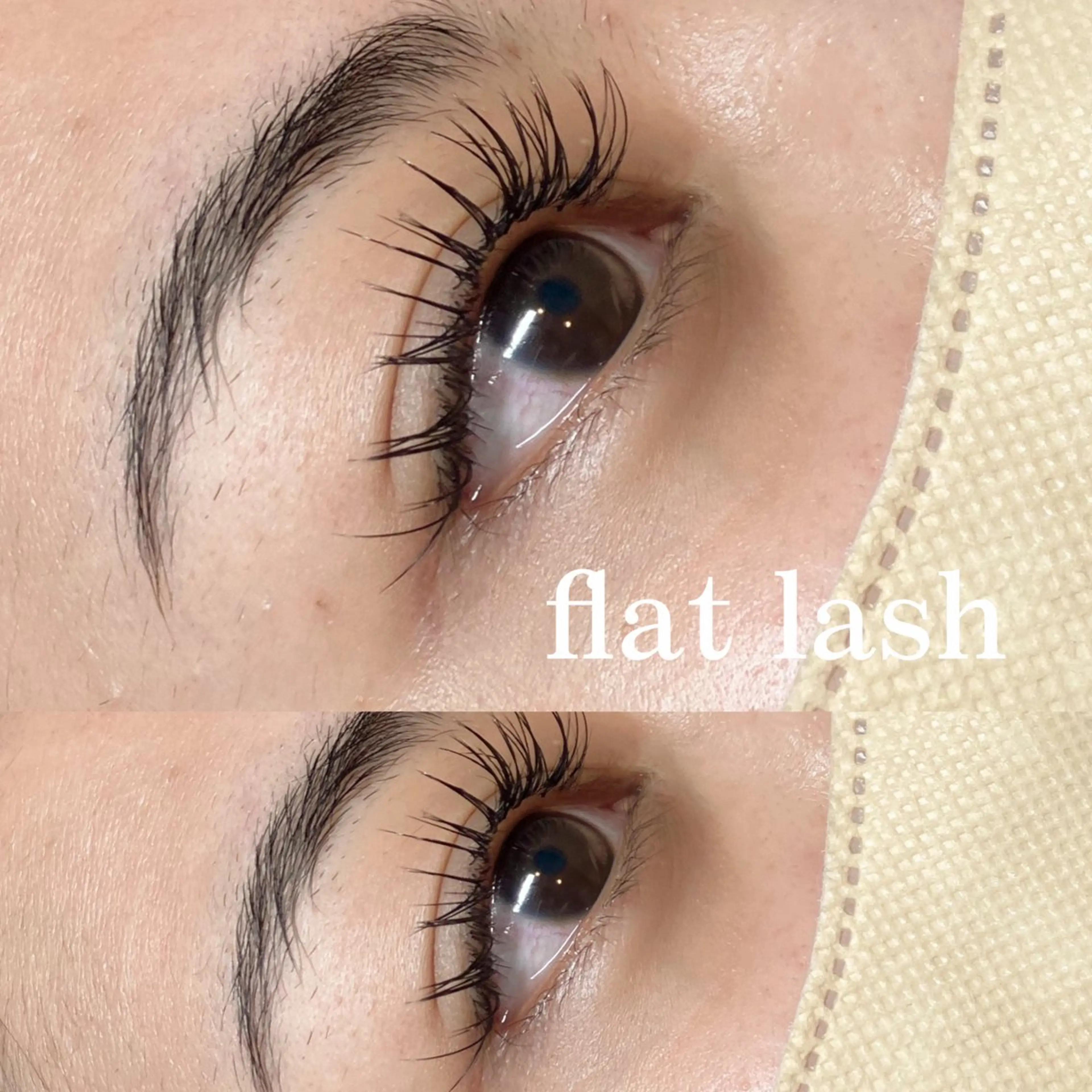 フラットラッシュ100本の写真