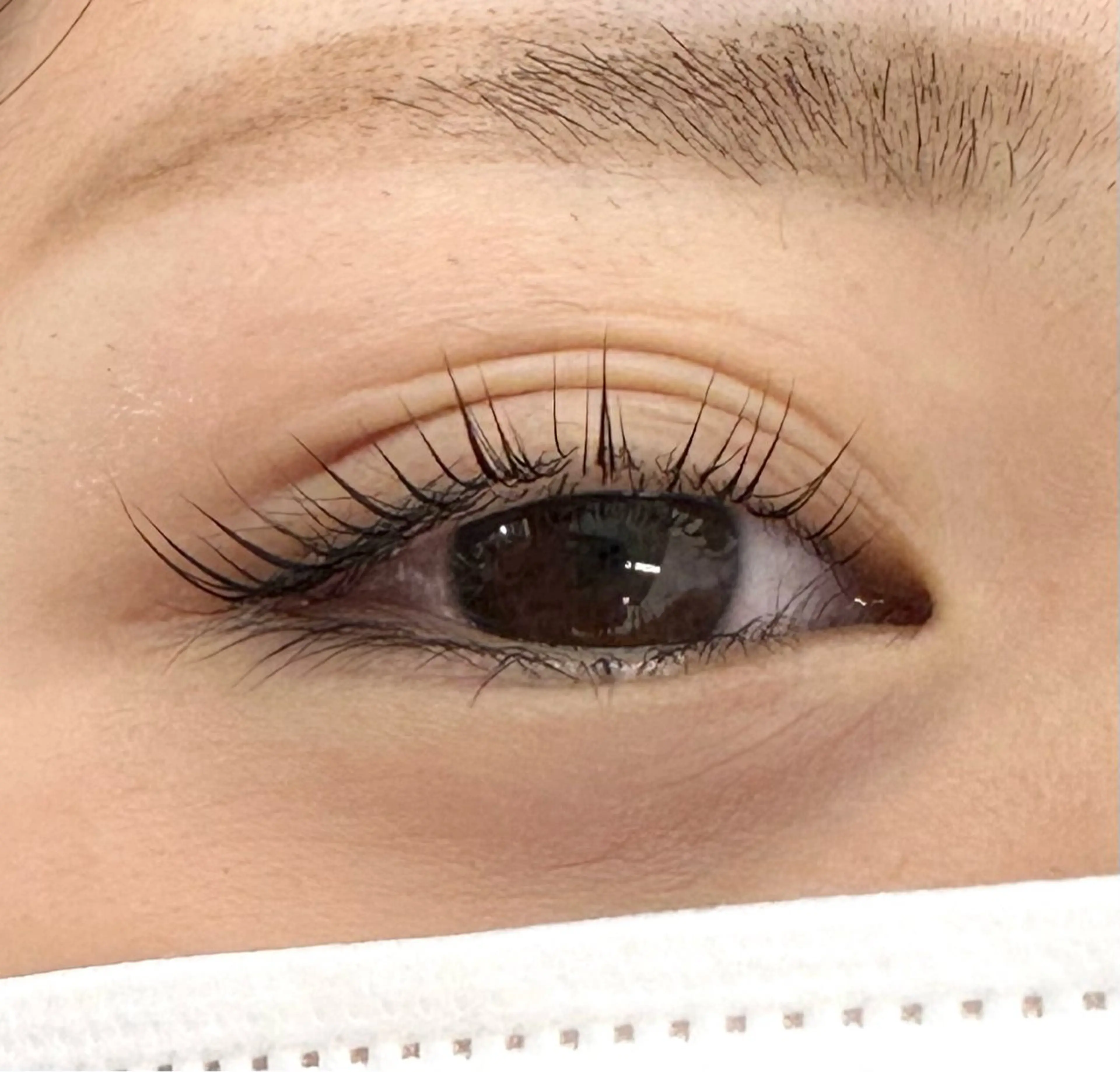 【U24学割】まつげパーマorパリジェンヌの写真