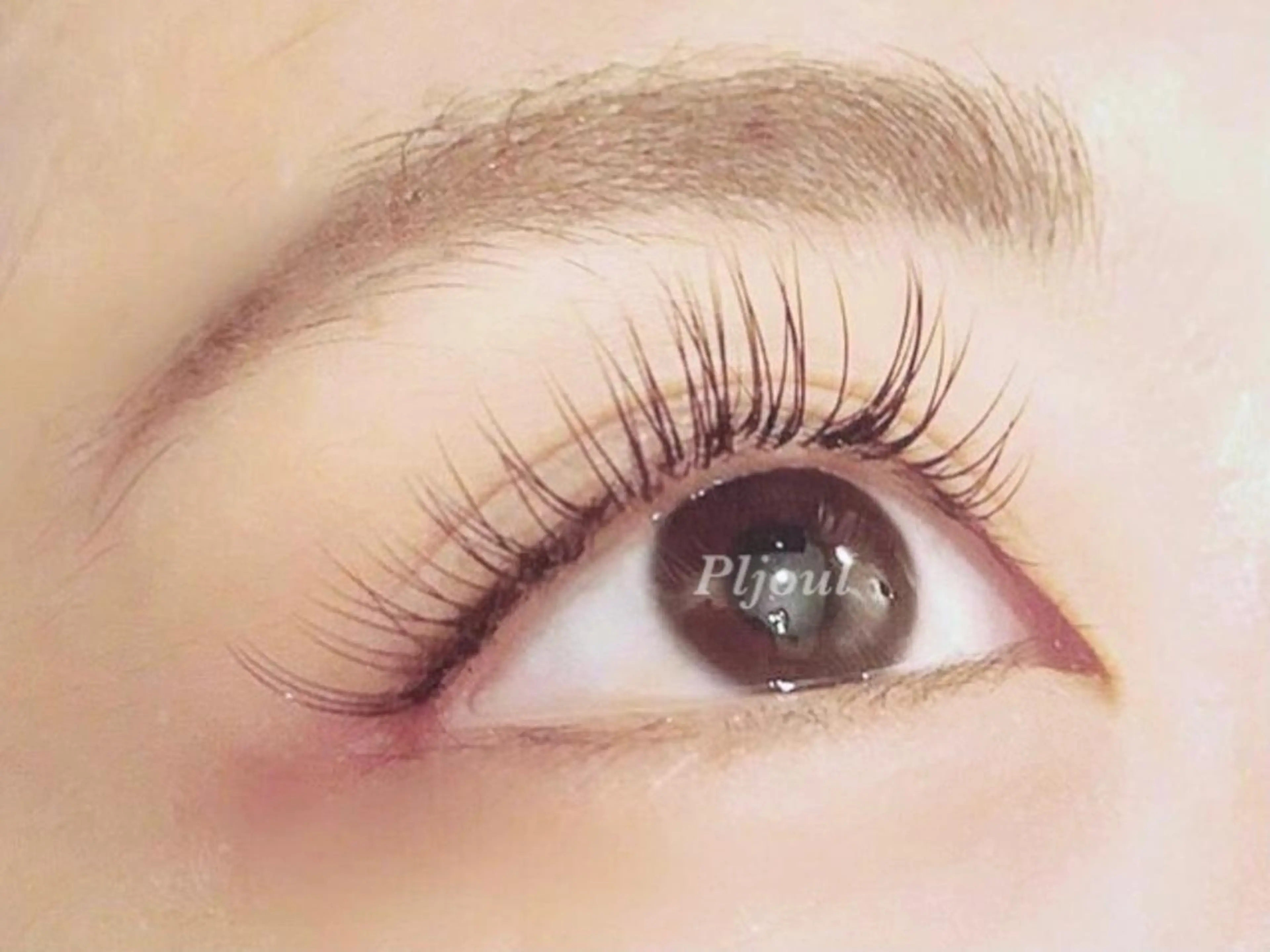 マツエク・マツパ マツエク Pljoul《プリジュール》所属・Pljoul🤍 天満橋のマツエク・マツパデザイン