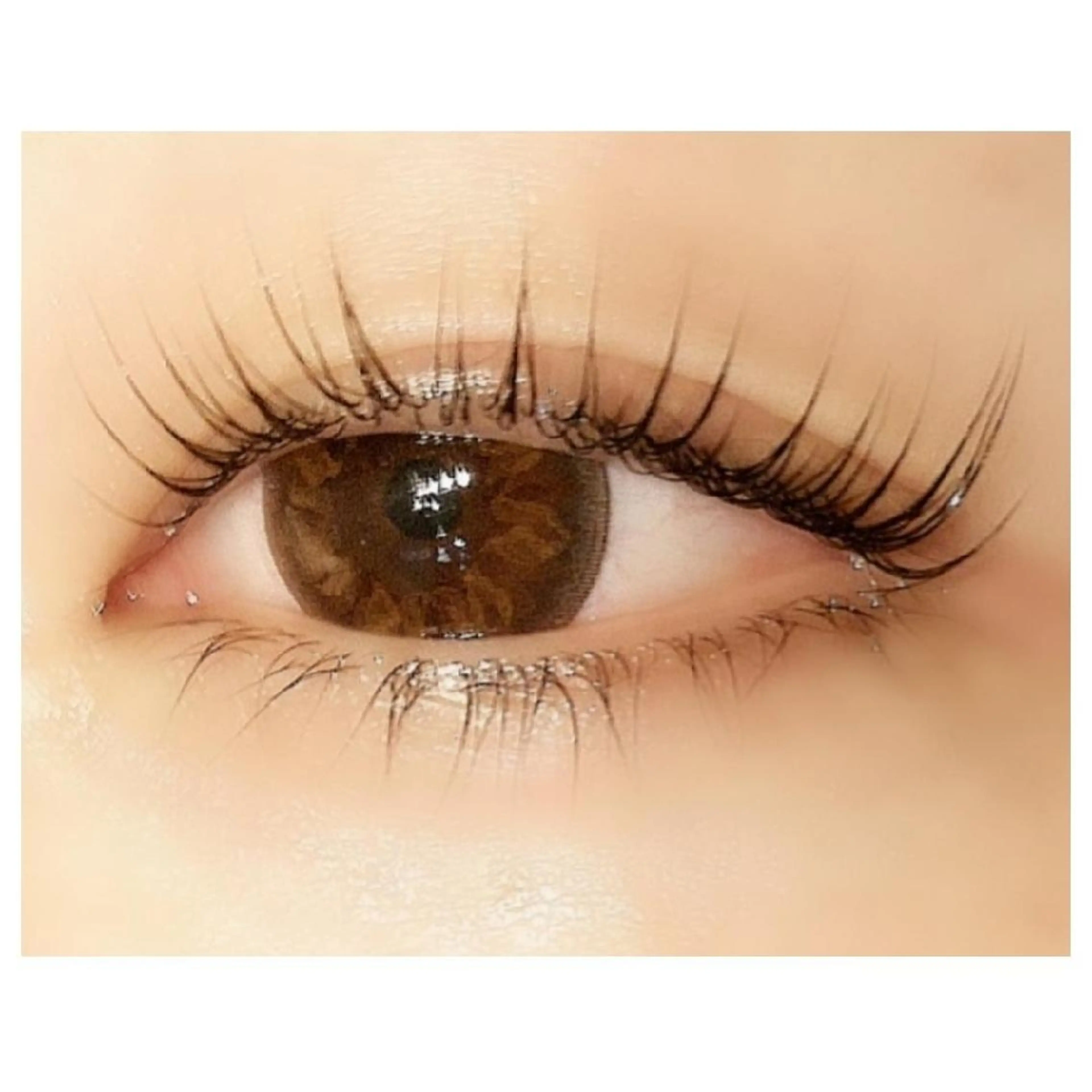 ★パリジェンヌラッシュリフト(上のみ)★6000円の写真