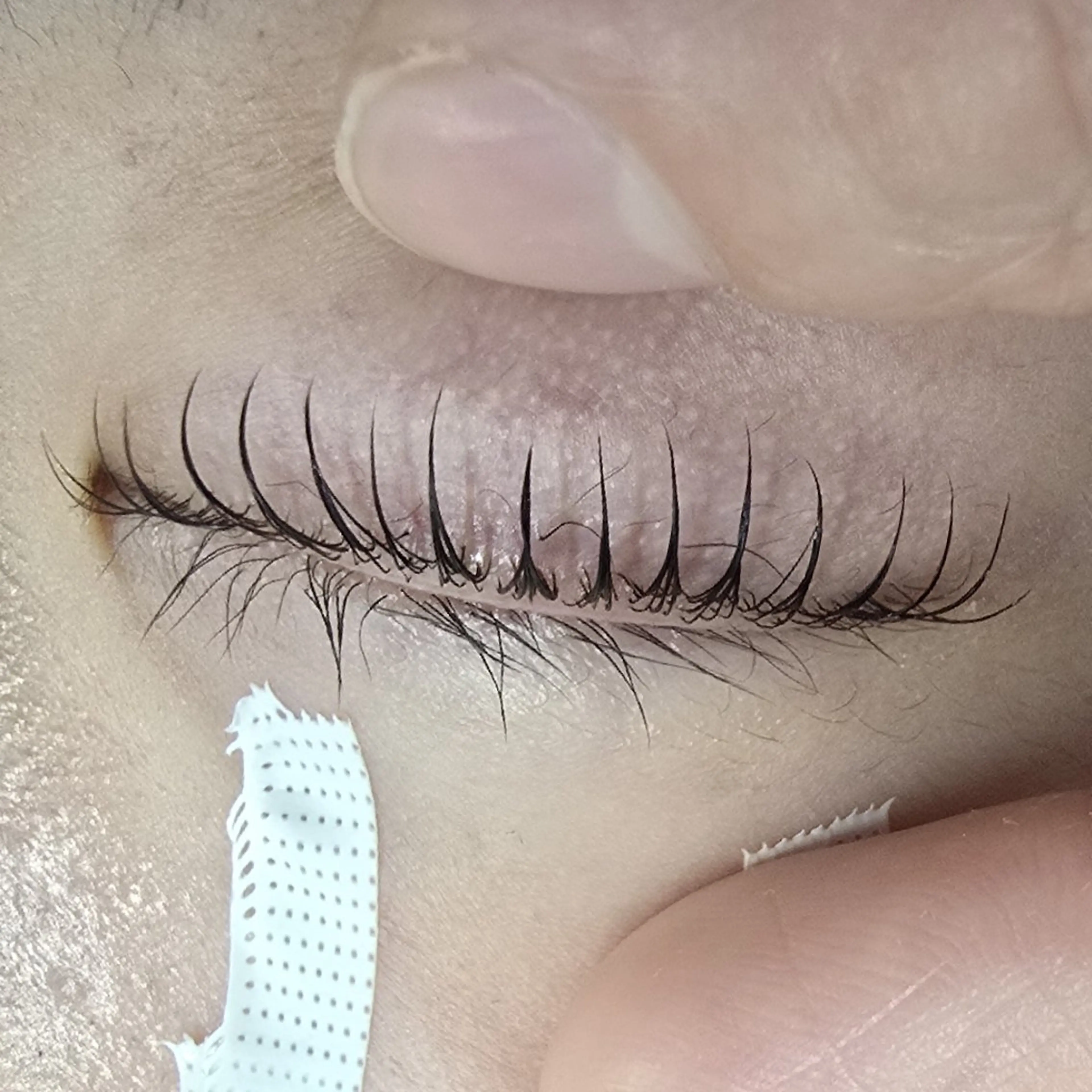 マツエク・マツパ マツパ フジ ワラのマツエク・マツパデザイン