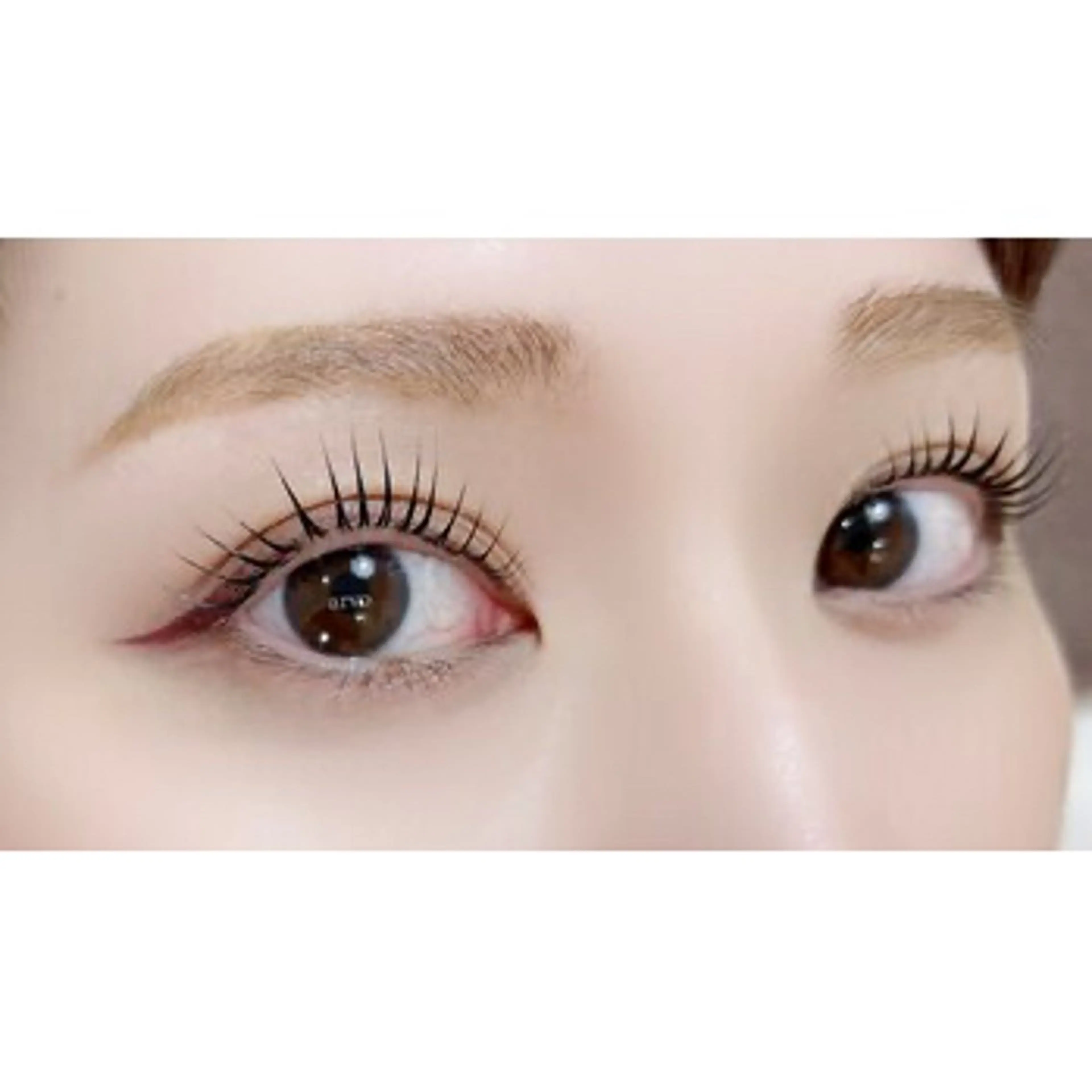 ☘️🫧パリジェンヌラッシュリフト🫧☘️の写真