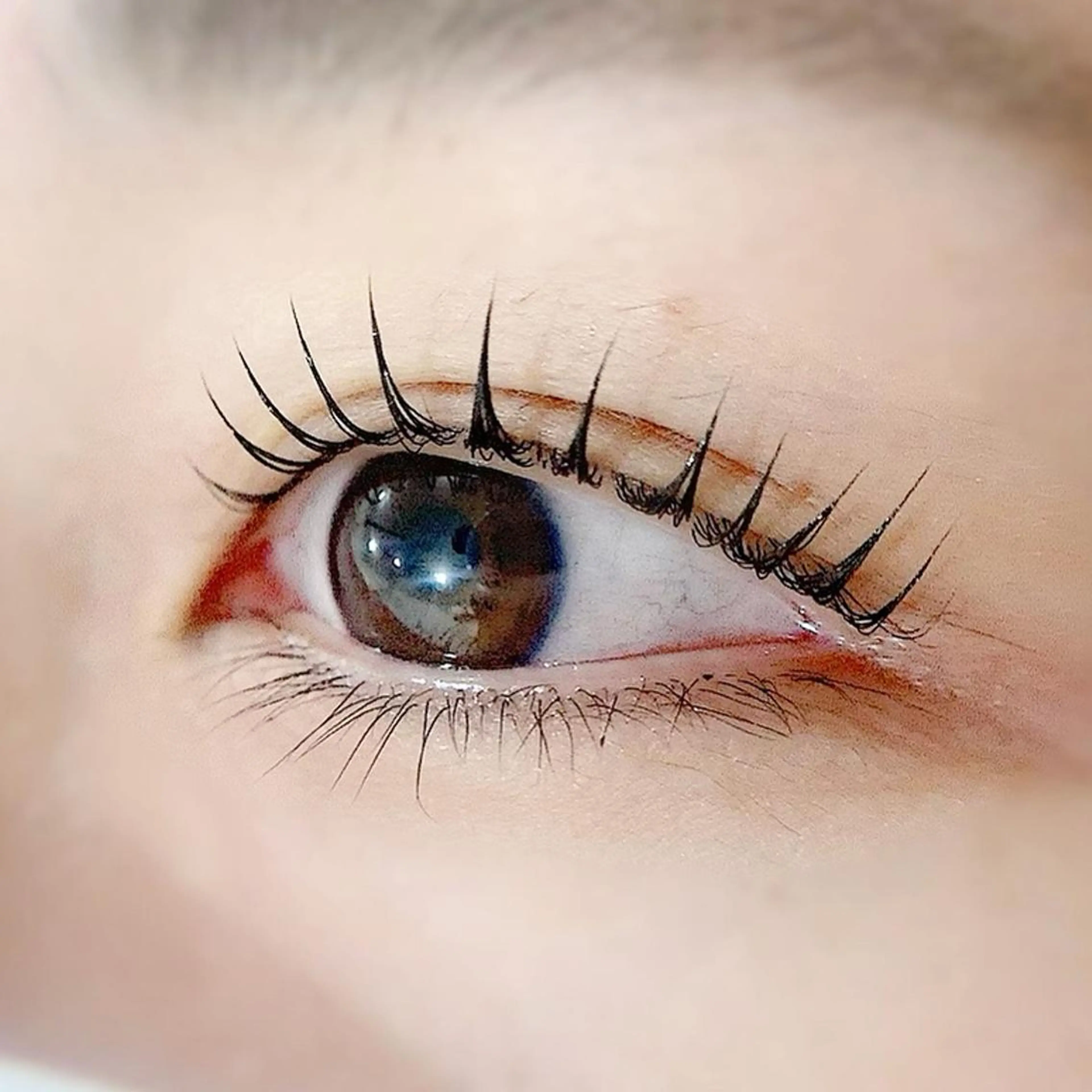 🇫🇷パリジェンヌラッシュリフト ¥6000 (エクステオフ¥1100)の写真