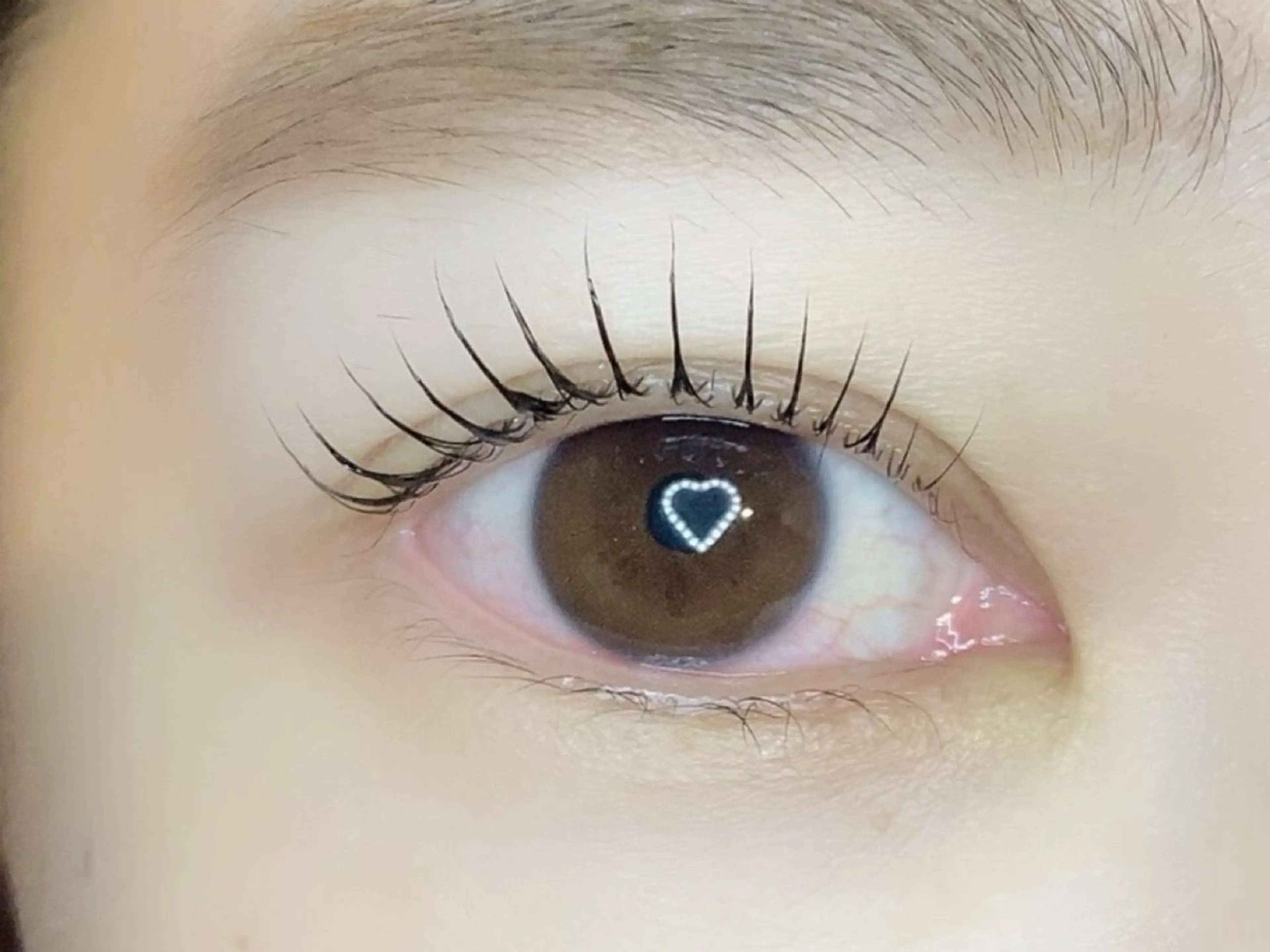 マツエク・マツパ マツパ Dahlia beauty新岩聖可のマツエク・マツパデザイン