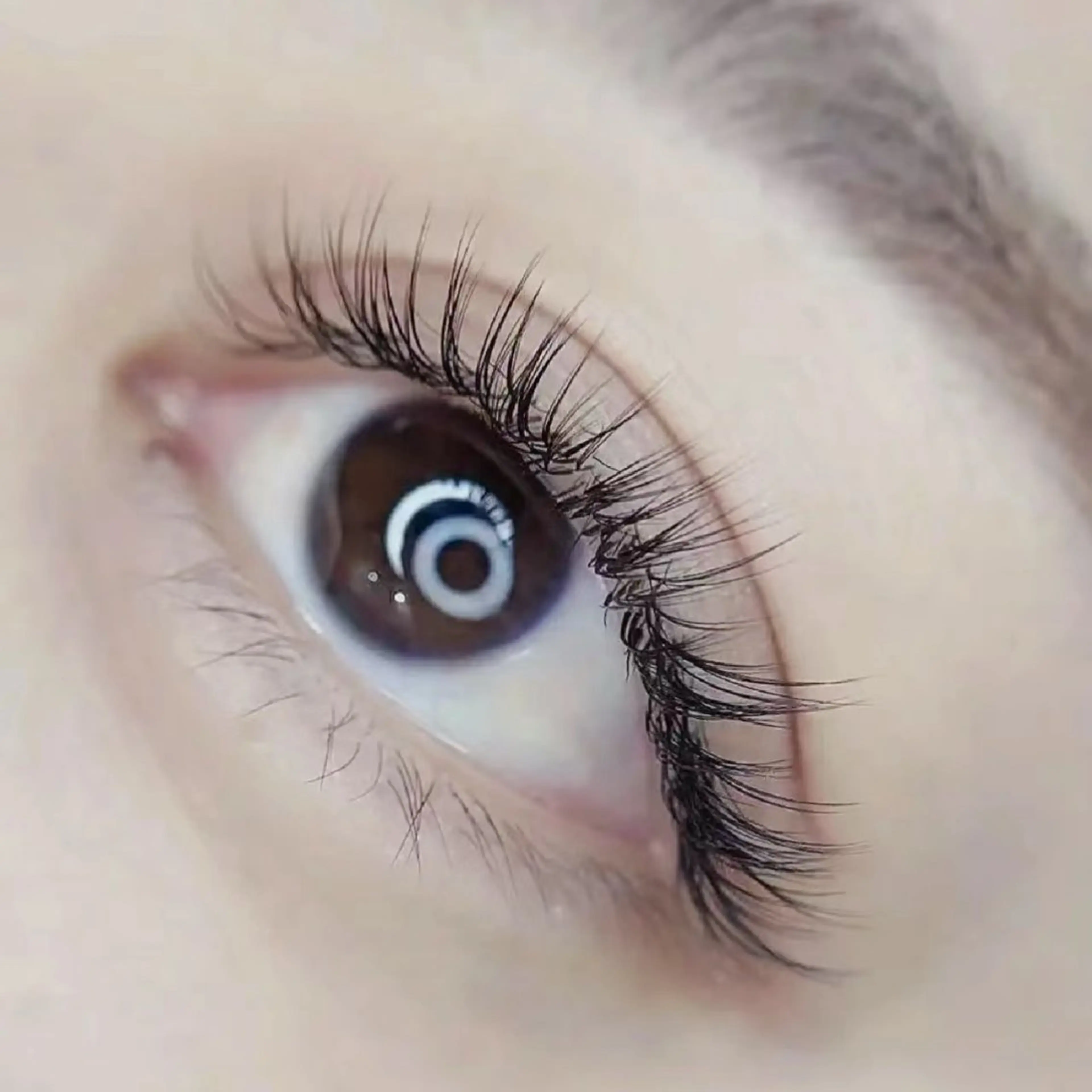 【3Dボリュームラッシュ】300本(100束)★初回オフ無料★ アイパック付きの写真