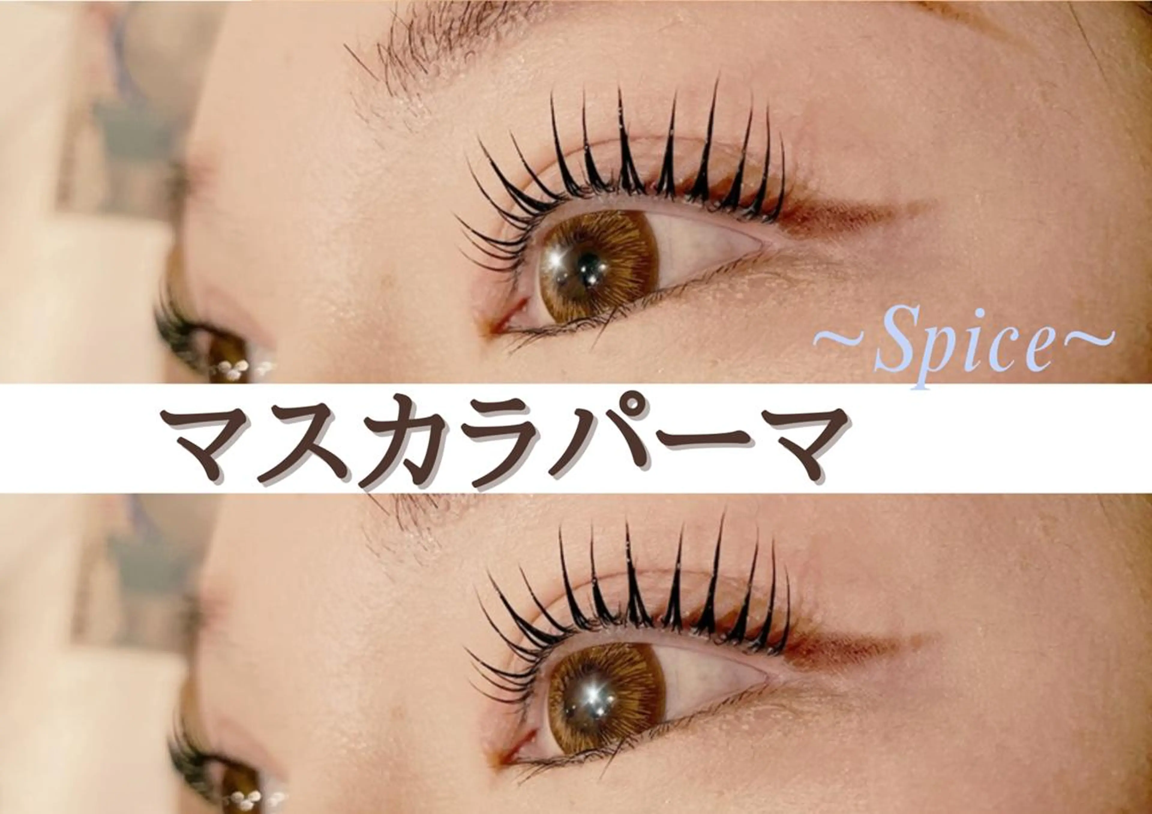 ブラックティントまつ毛パーマ♪より黒く濃密なまつ毛に♪ドイツ発の最新ラッシュリフトの写真