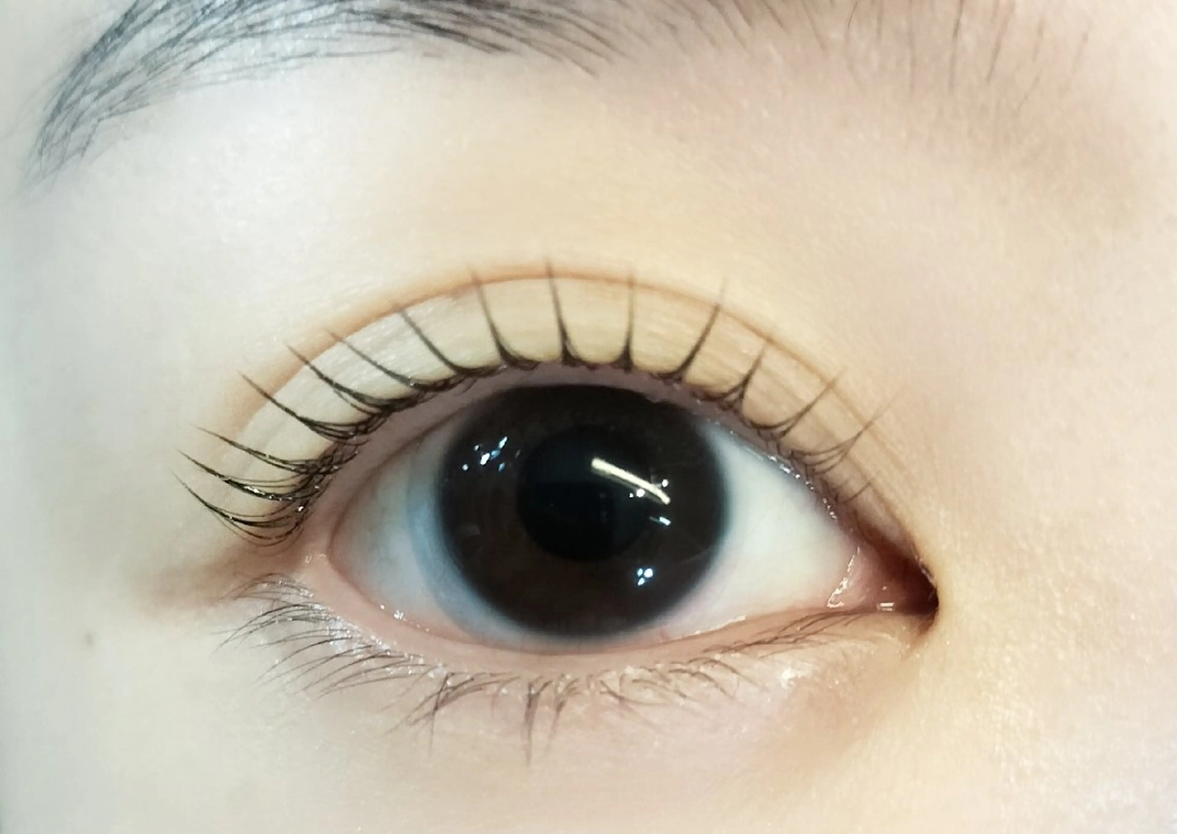 マツエク・マツパ eyelash salon NIL 下赤塚(美容室オアシス店内)所属・🌹NIL下赤塚🌹 kaoriのマツエク・マツパデザイン