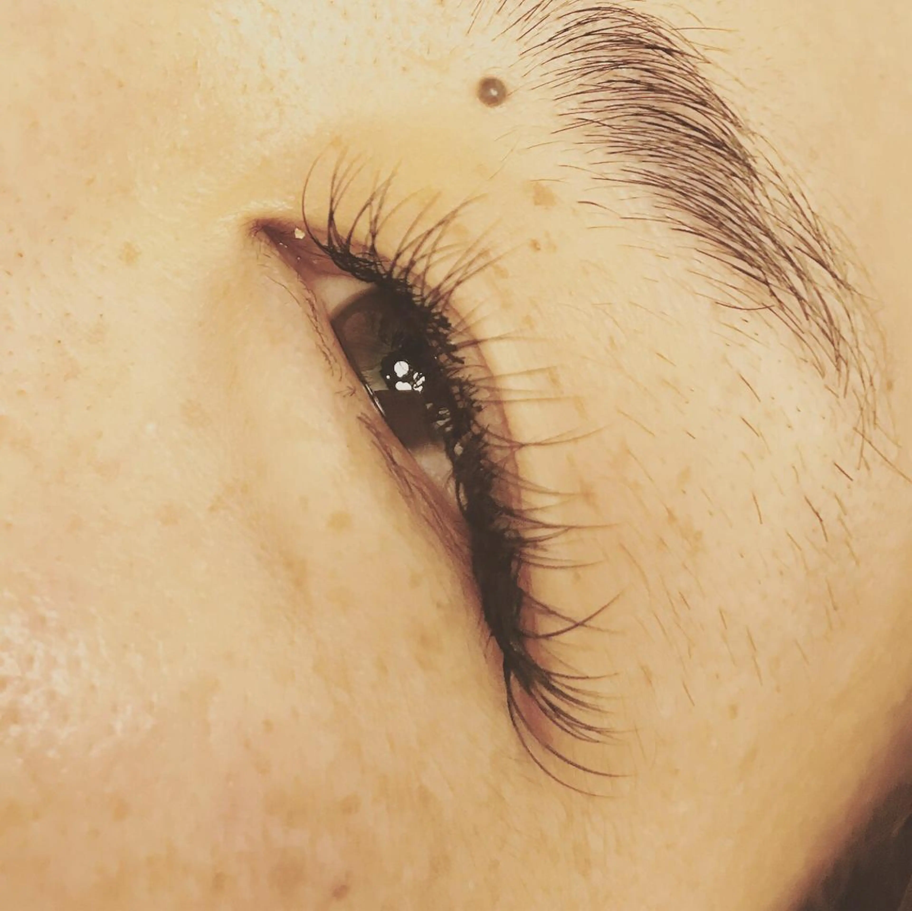 マツエク・マツパ 大久保 あゆみ✯Tina✯のマツエク・マツパデザイン