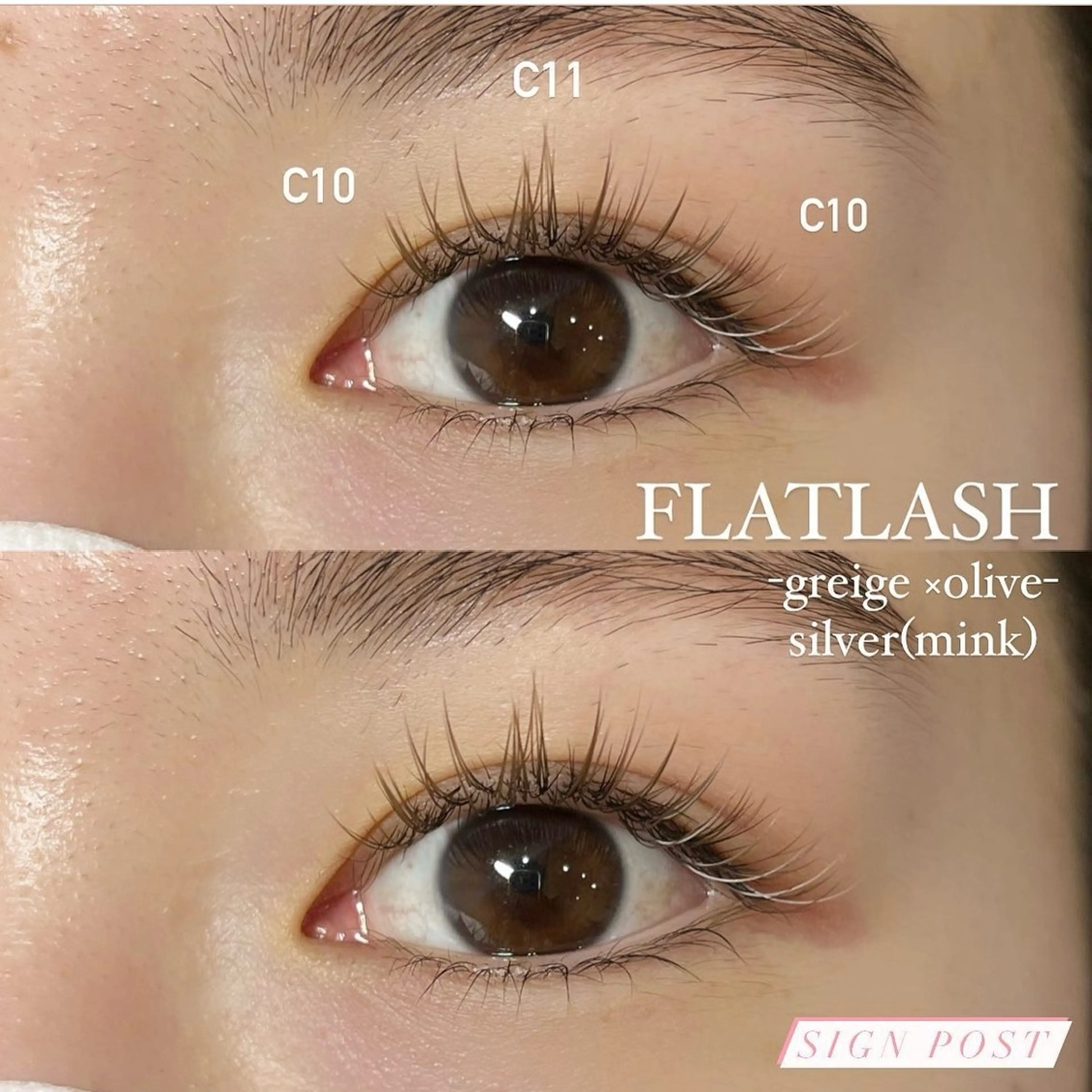 マツエク・マツパ signpost 田村の眉毛・アイブロウイメージ