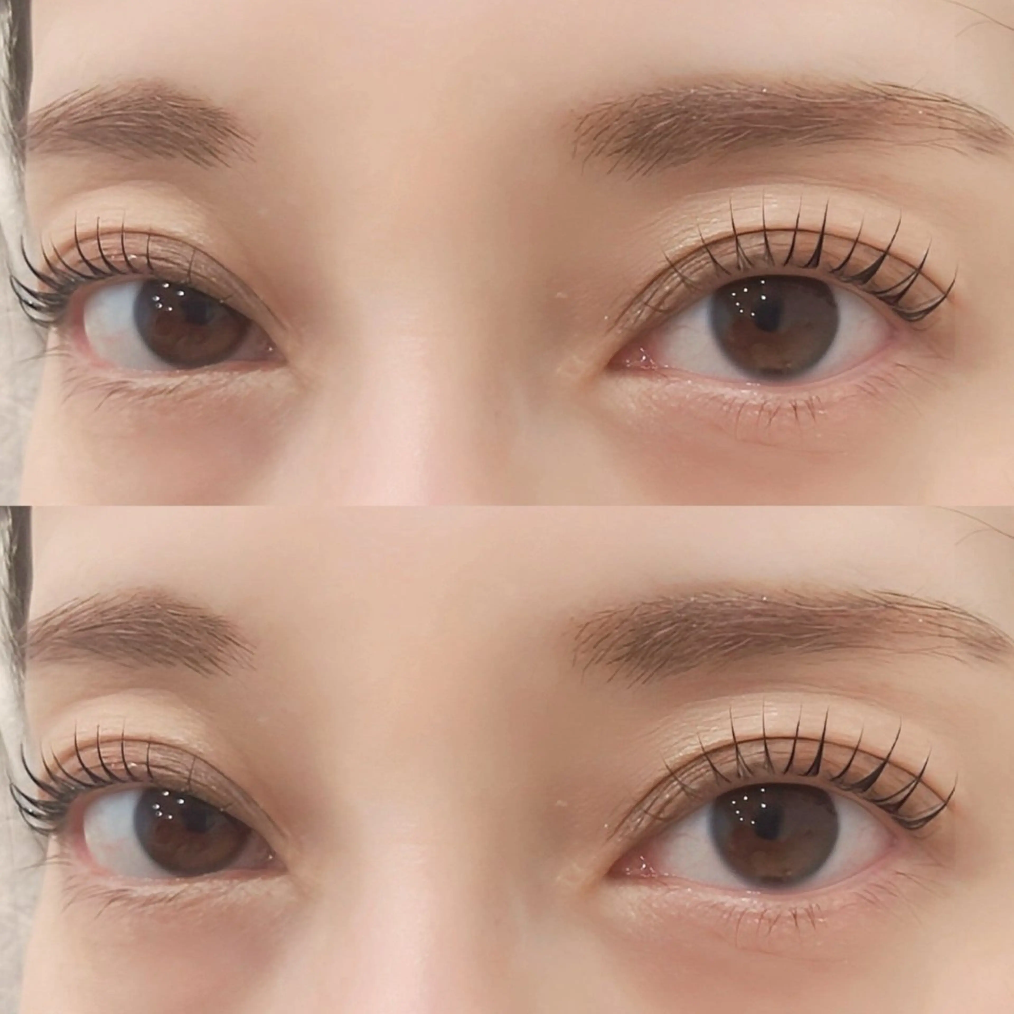 【🌟12月迄のご新規様限定キャンペーン】💕まつ毛パーマ(上のみ) 💕(亀戸/錦糸町/小岩)の写真