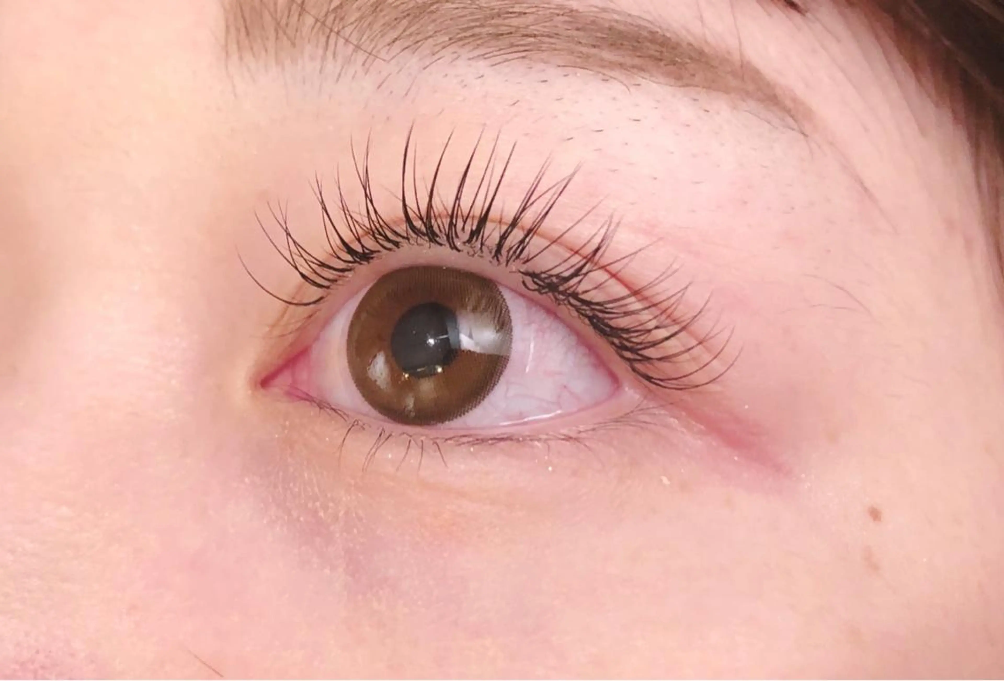 マツエク・マツパ Cカール キュート Sylph & SCENEのマツエク・マツパデザイン