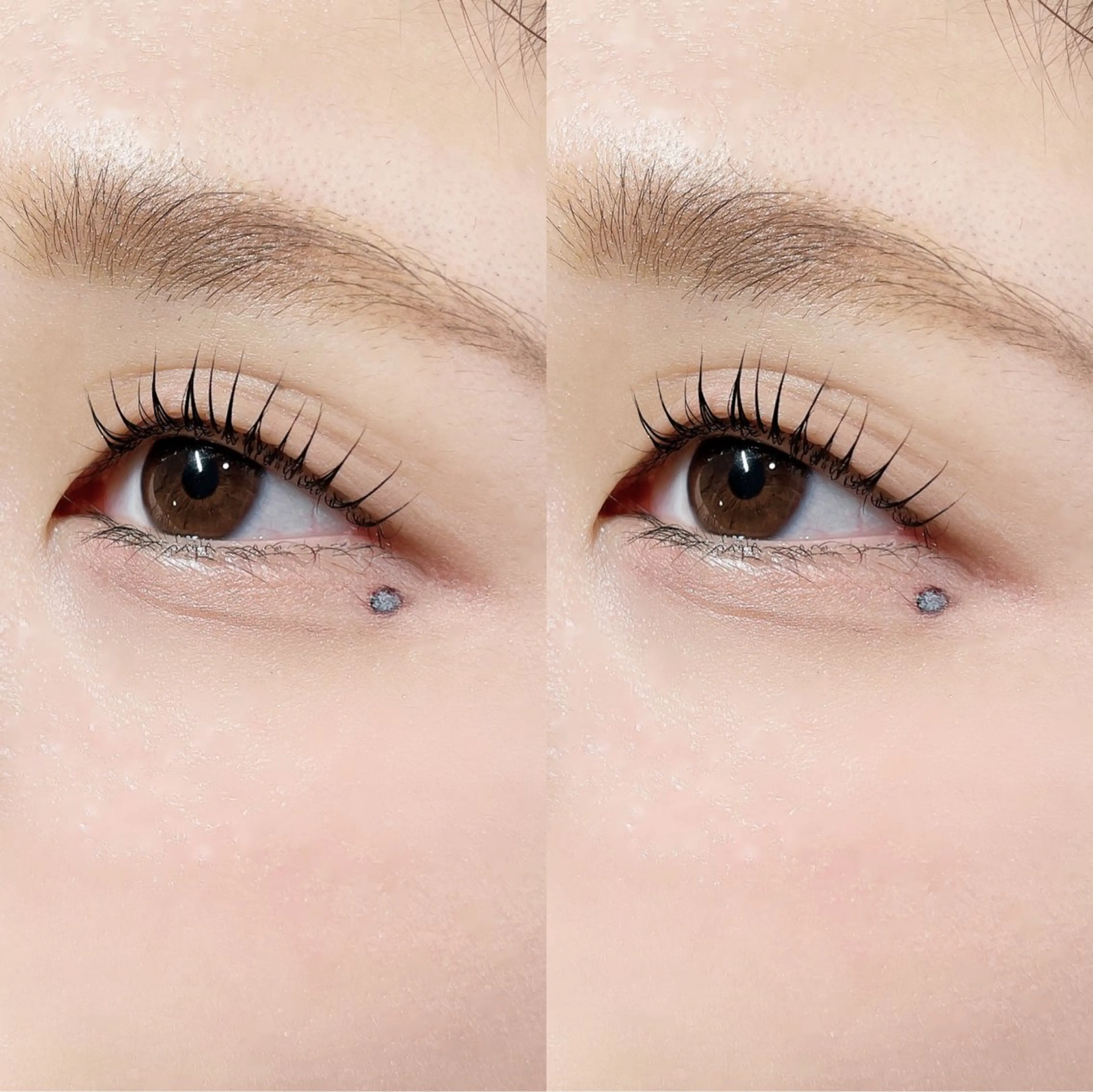 マツエク・マツパ 韓国風マツエク パリジェンヌラッシュリフト まつげパーマ 下まつげエクステ 一重×まつ毛パーマ マツパ 🎀Lino 中目黒 TAKAMI🐈のマツエク・マツパデザイン