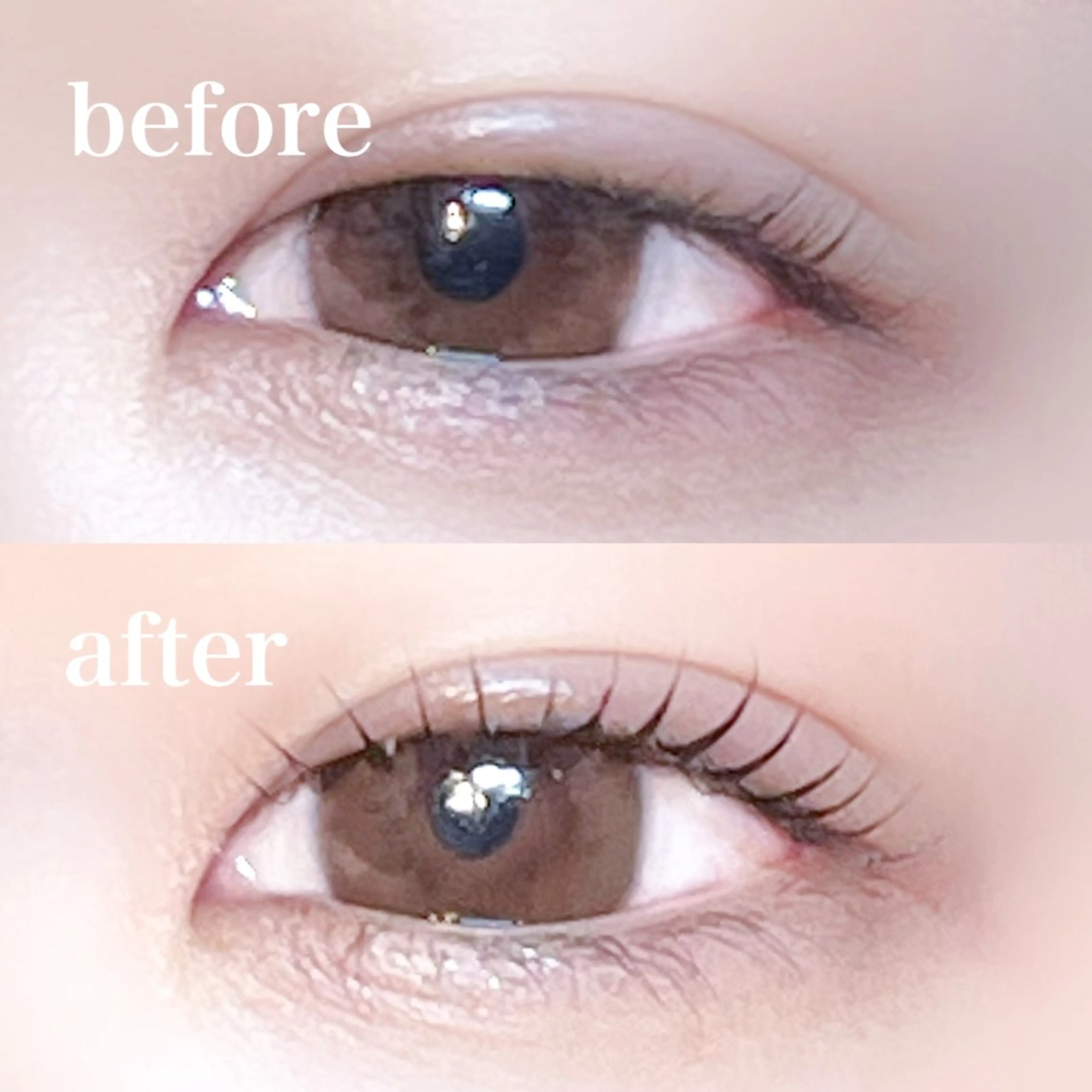 マツエク・マツパ マツパ 仙台/束感まつげ💐 🎀Mizukiのマツエク・マツパデザイン