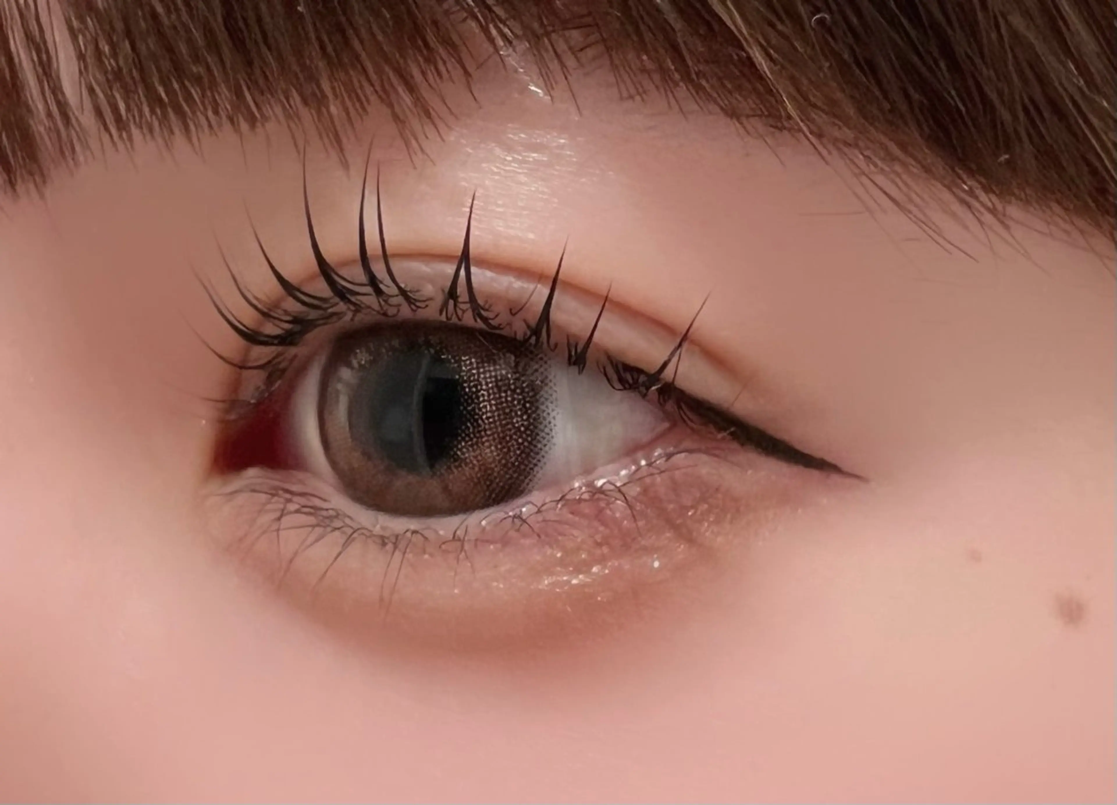 【平日限定】まつげパーマ(コーティング付き)の写真