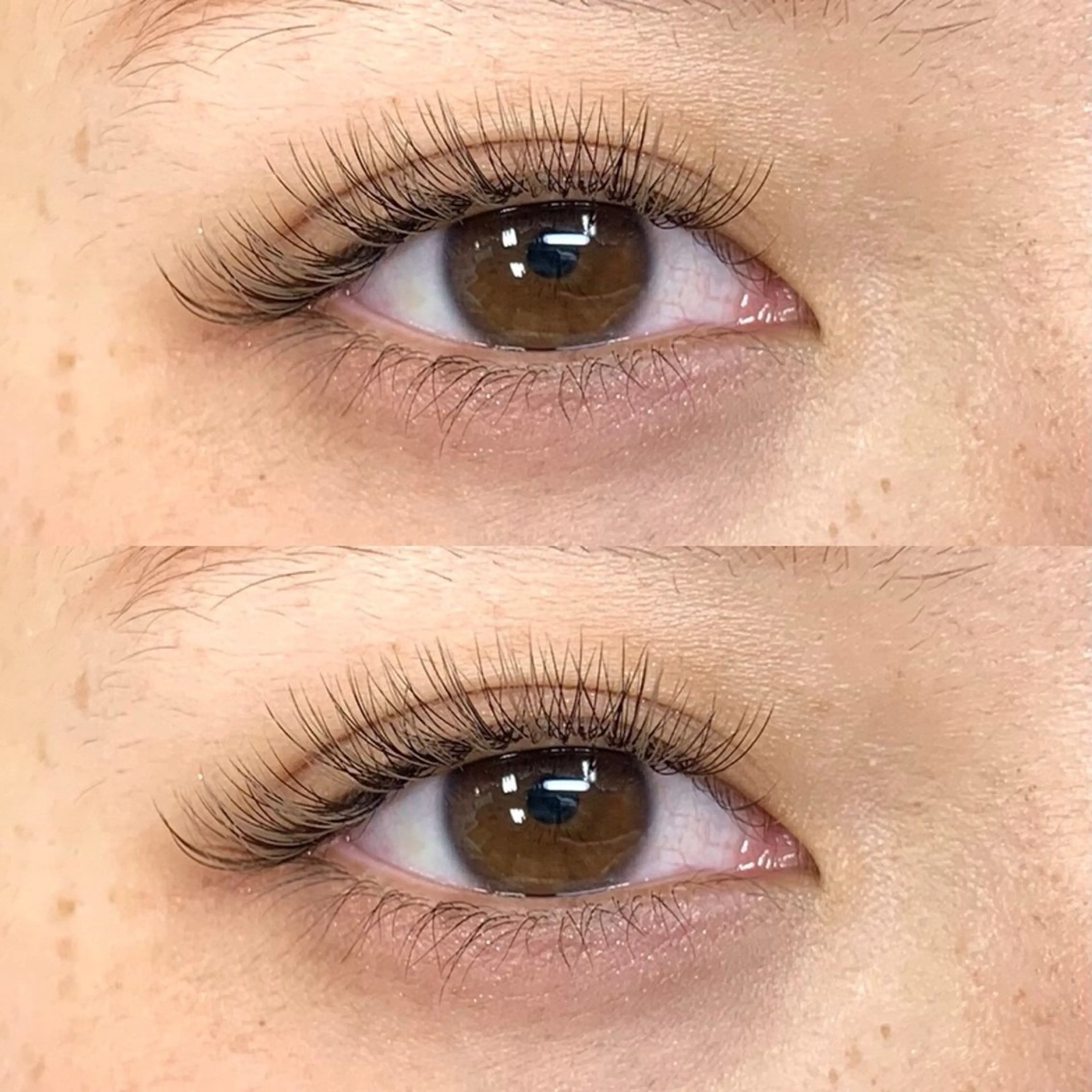 3Dレイヤー300本までの写真