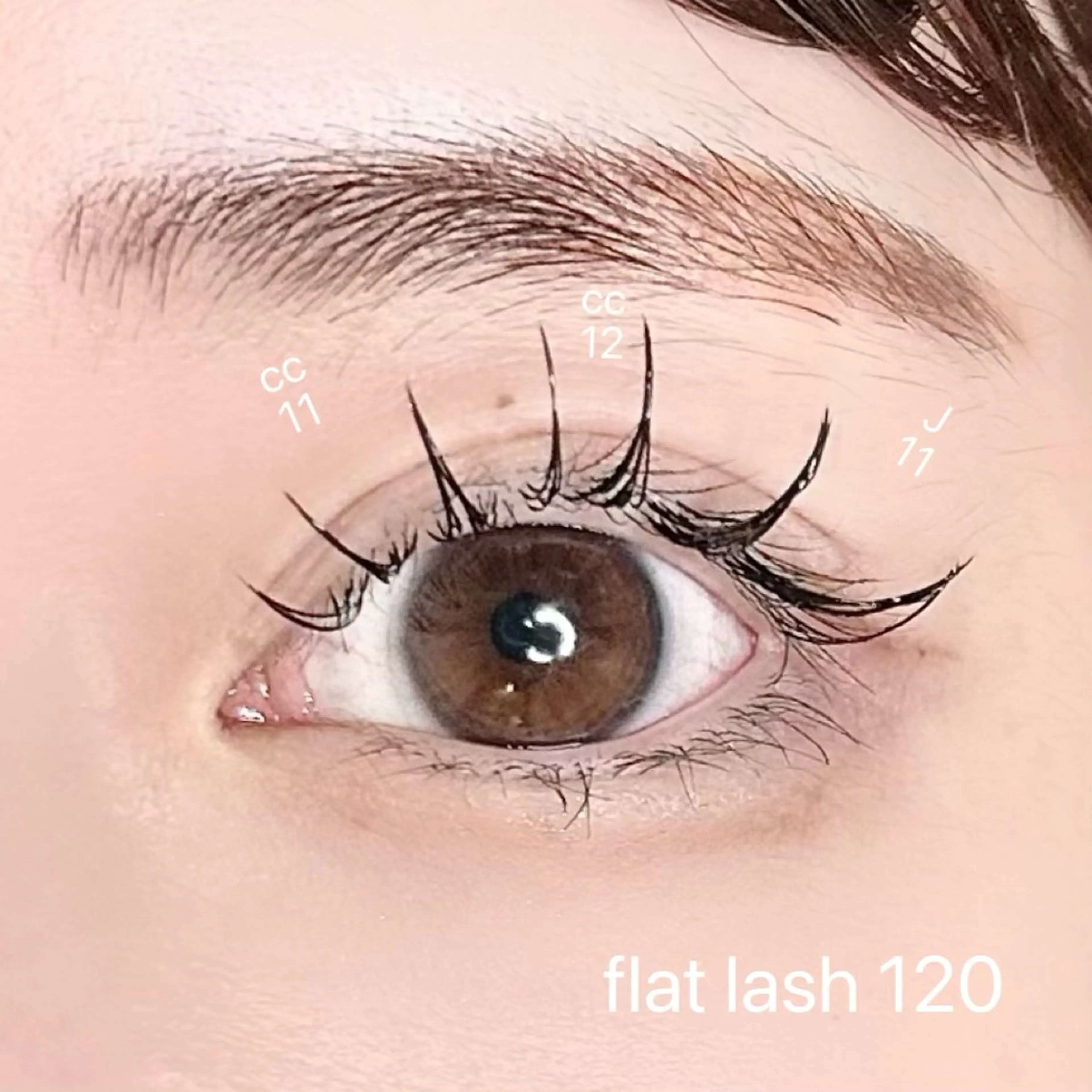 マツエク・マツパ フラットラッシュ マツエク elua eyelash所属・elua eyelashのマツエク・マツパデザイン