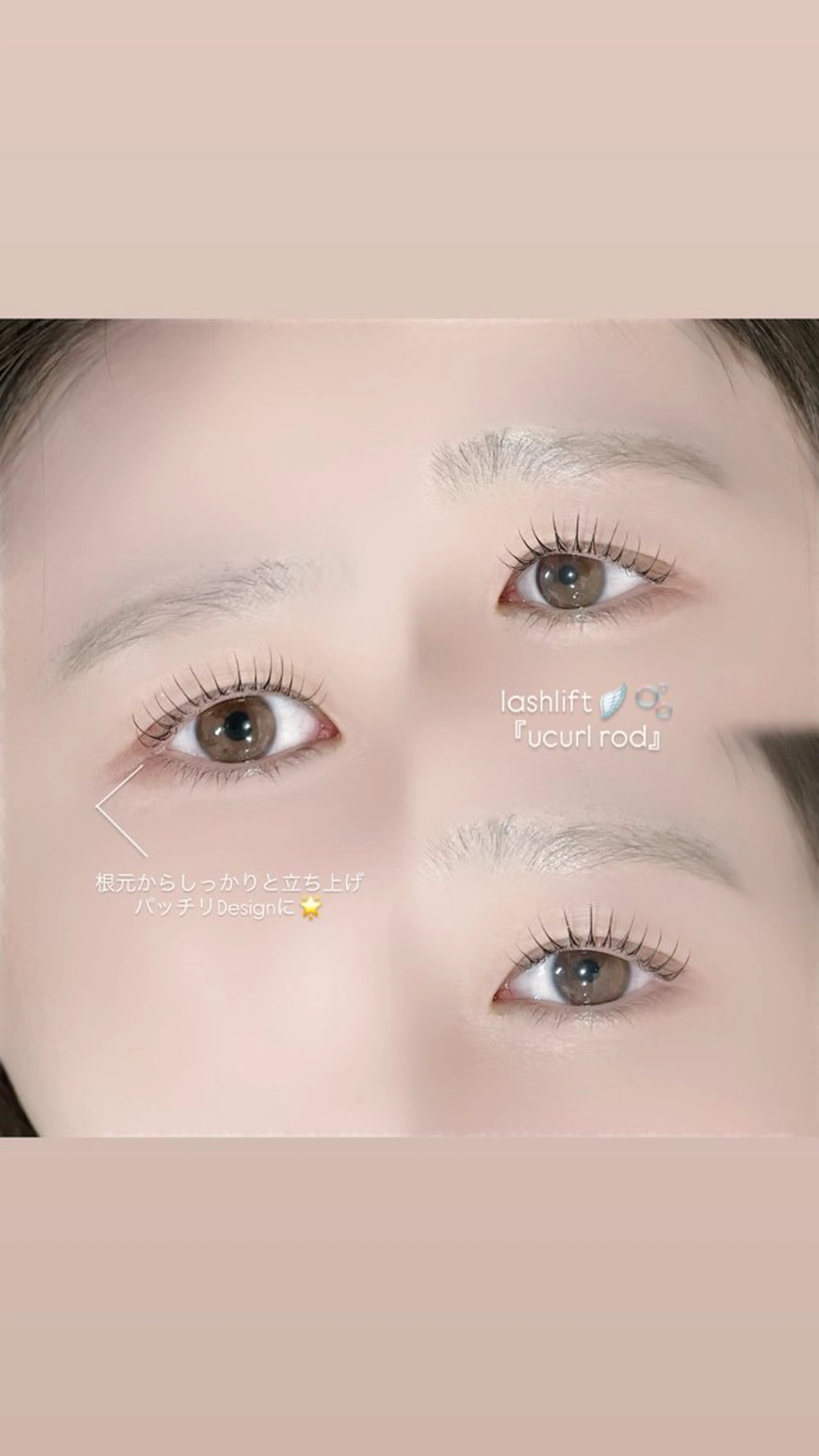 🎀パリジェンヌラッシュリフト￥6,600→￥3,980『minimo限定価格』の写真