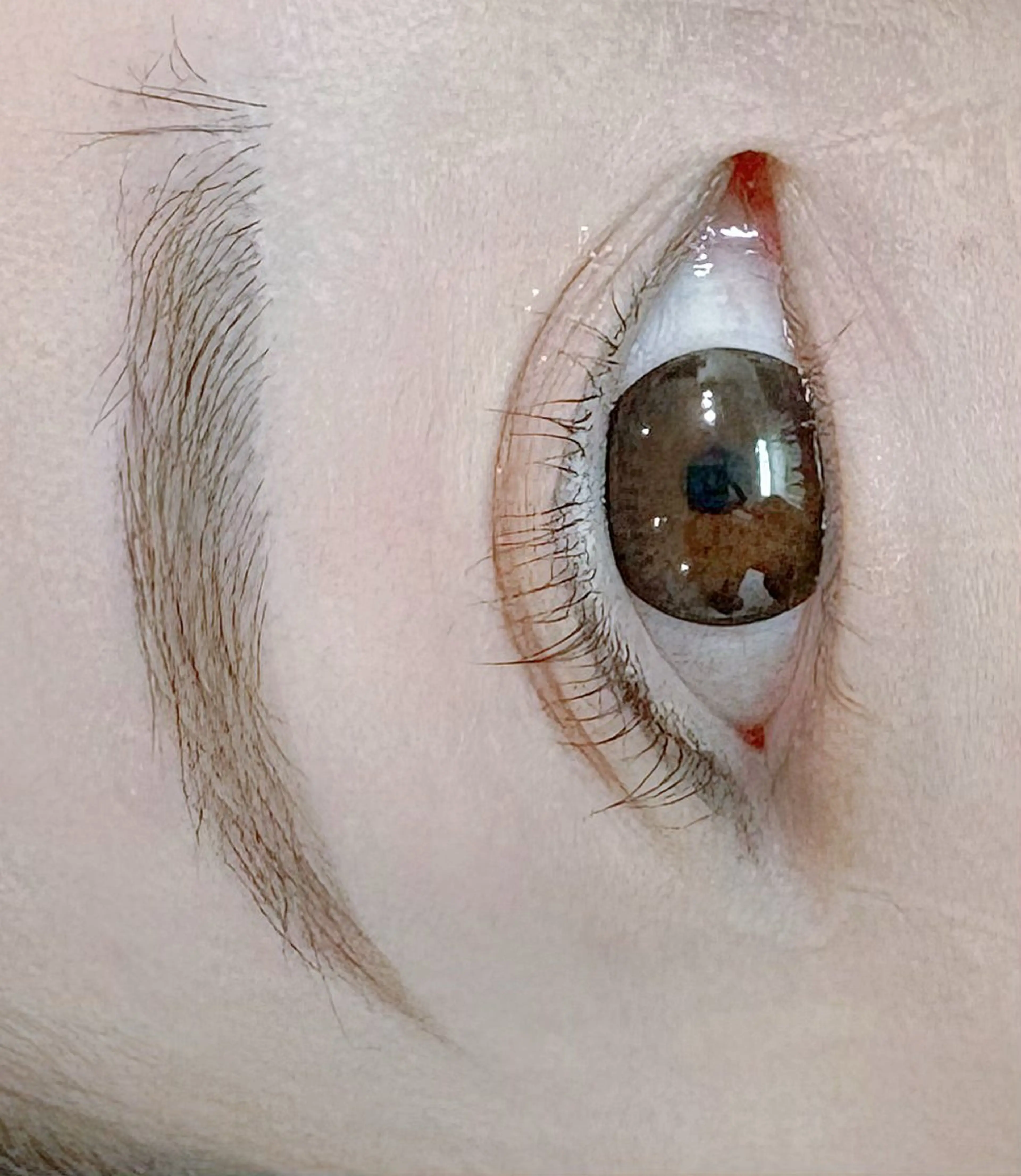 アイブロウ ワックス脱毛 EYELA 土浦店 幕内のマツエク・マツパデザイン