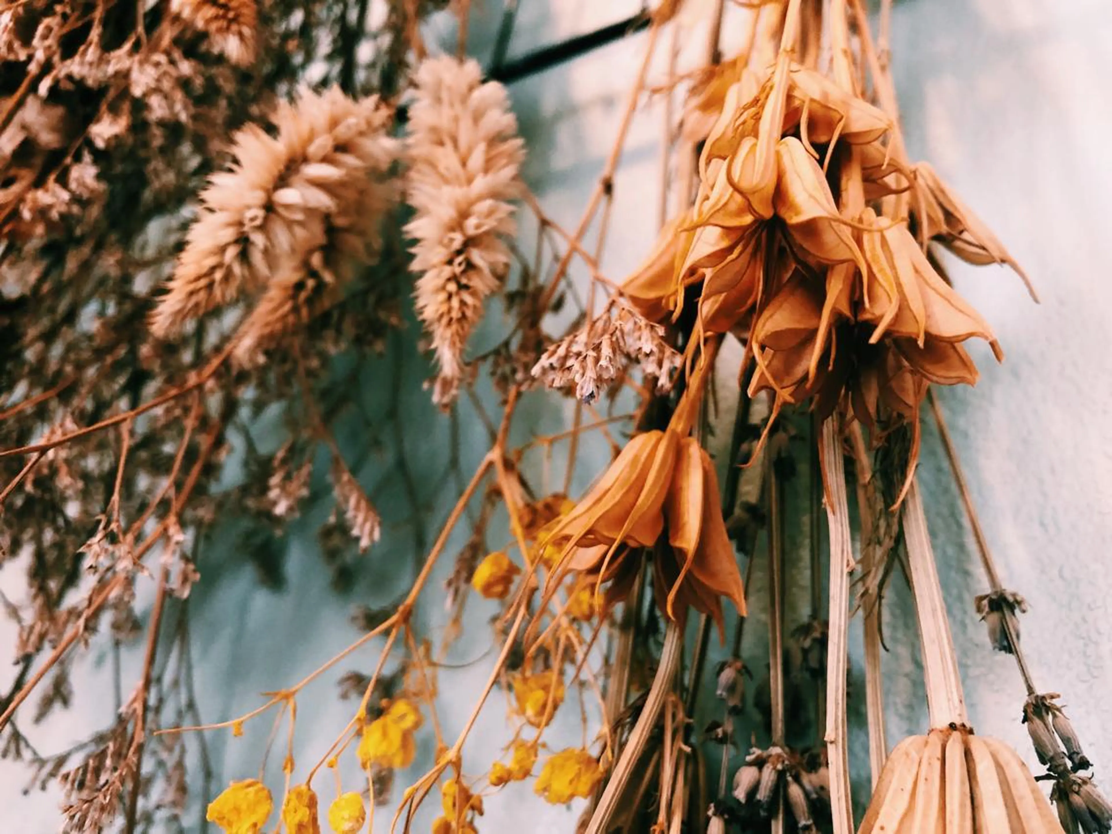 マツエク・マツパ UTA hair&eyelash所属・青木 百花のマツエク・マツパデザイン