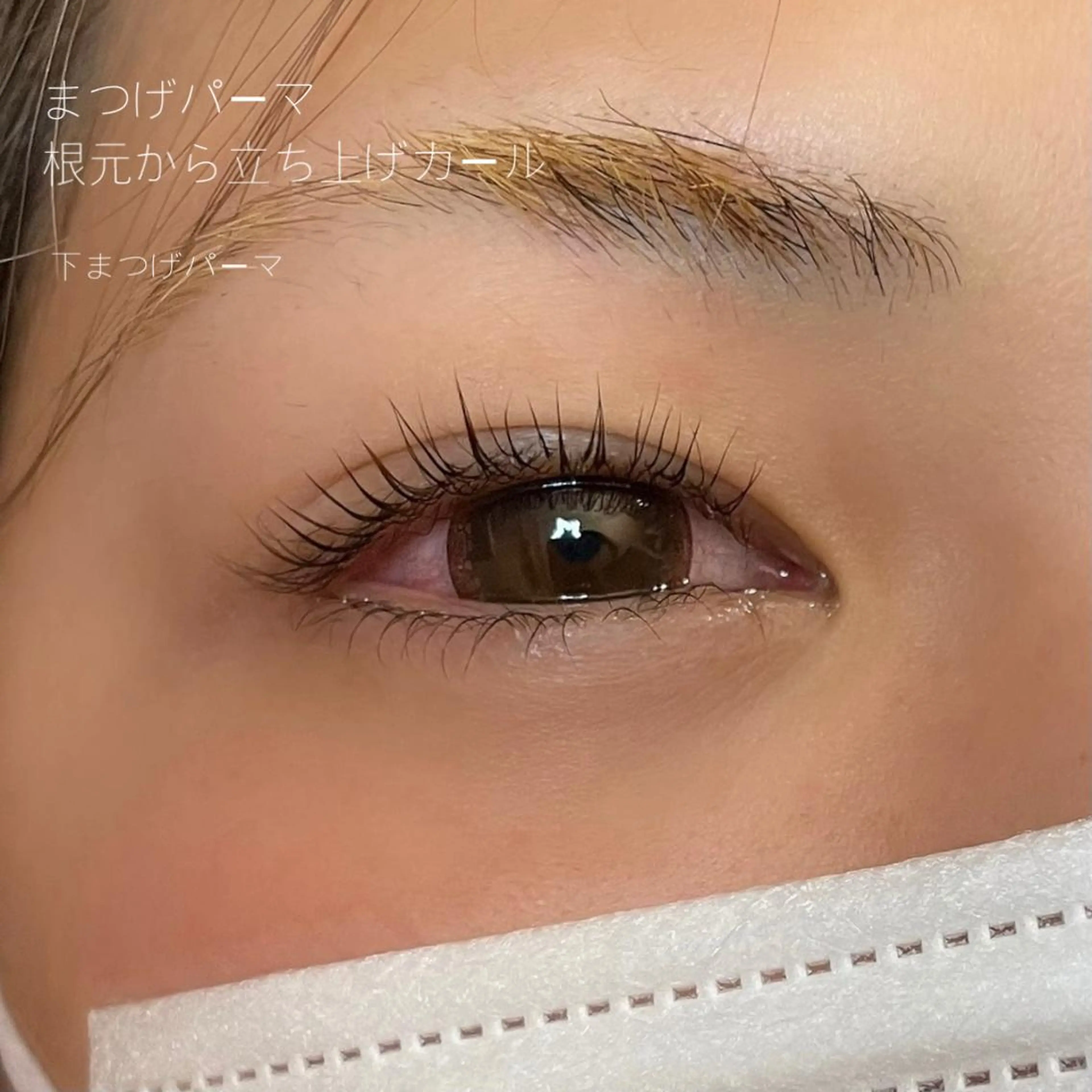 マツエク・マツパ GO TODAY SHAiRE SALON Vellmie店所属・吉祥寺kasumi 🌛eye/browのマツエク・マツパデザイン