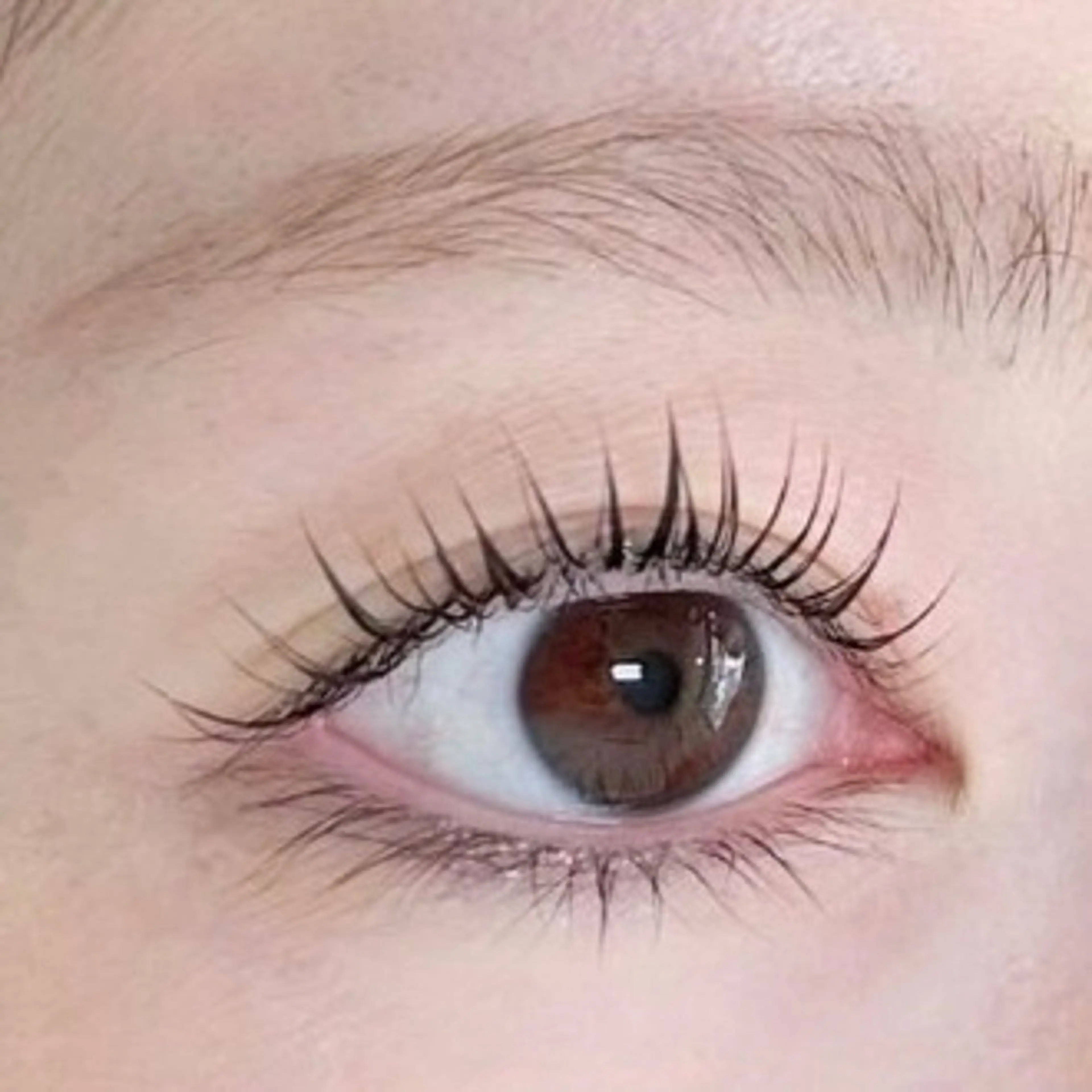 ✨️🤍パリジェンヌ🤍✨️の写真