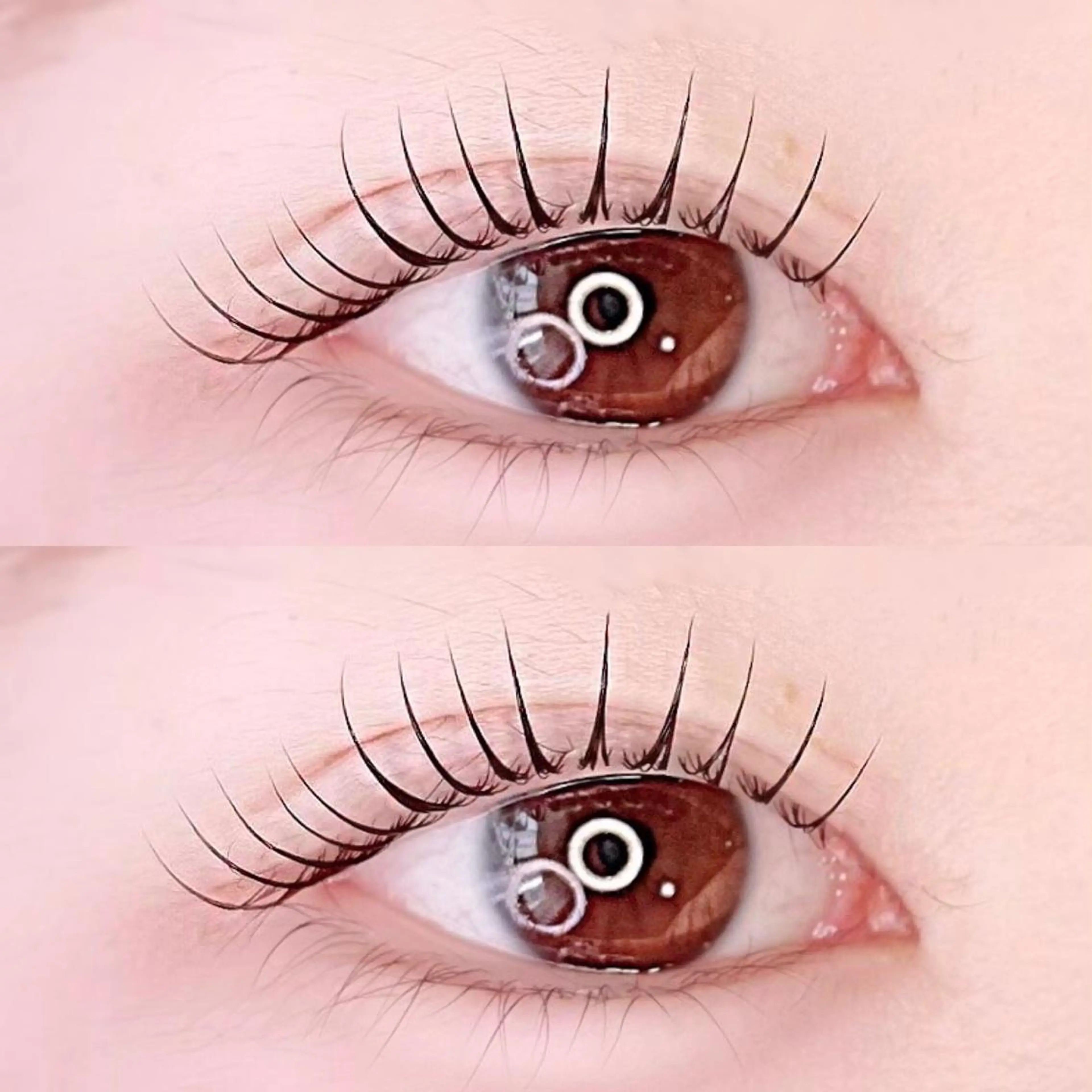 ラッシュリフト上下/パリジェンヌ上下の写真