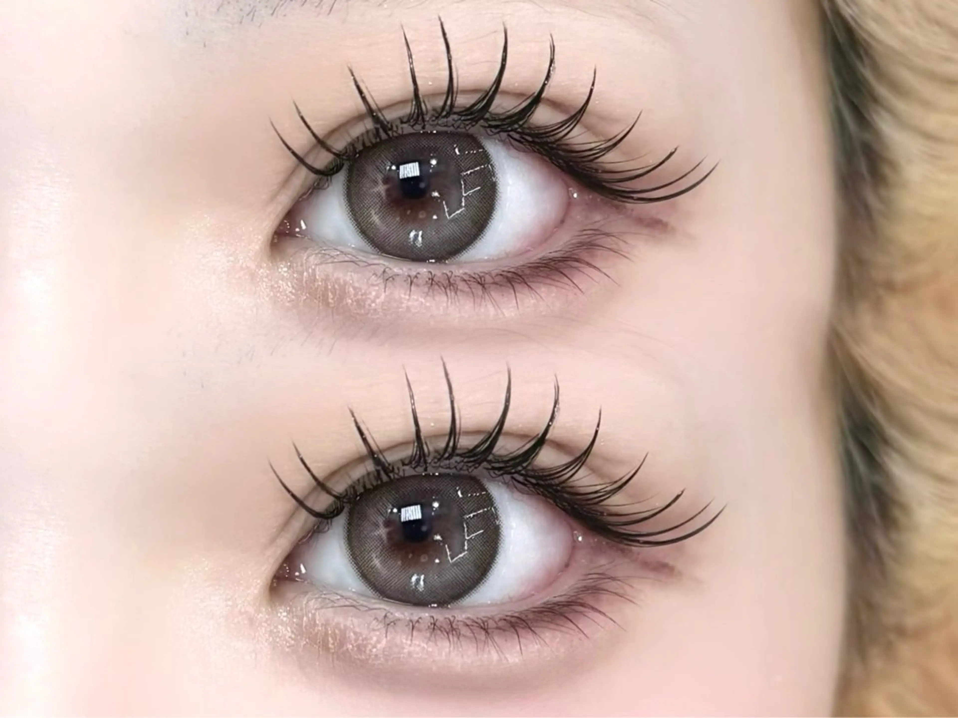 【14日15日】エクステモデル7️⃣名様限定🎀束感まつ毛✨🪽担当：西田⚠︎詳細を必ずお読みくださいの写真
