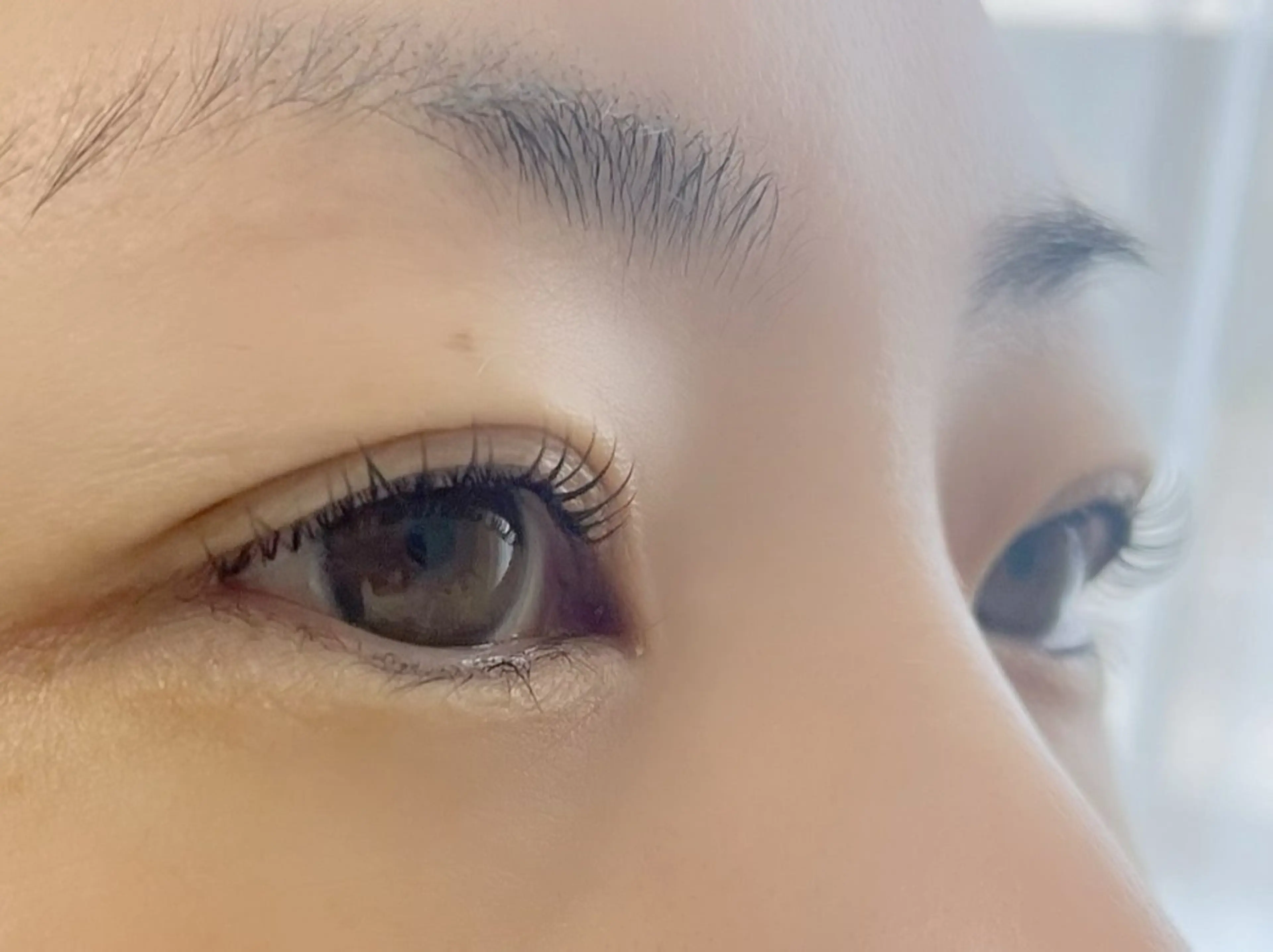 マツエク・マツパ マツパ Regene HIROKAWAの眉毛・アイブロウイメージ