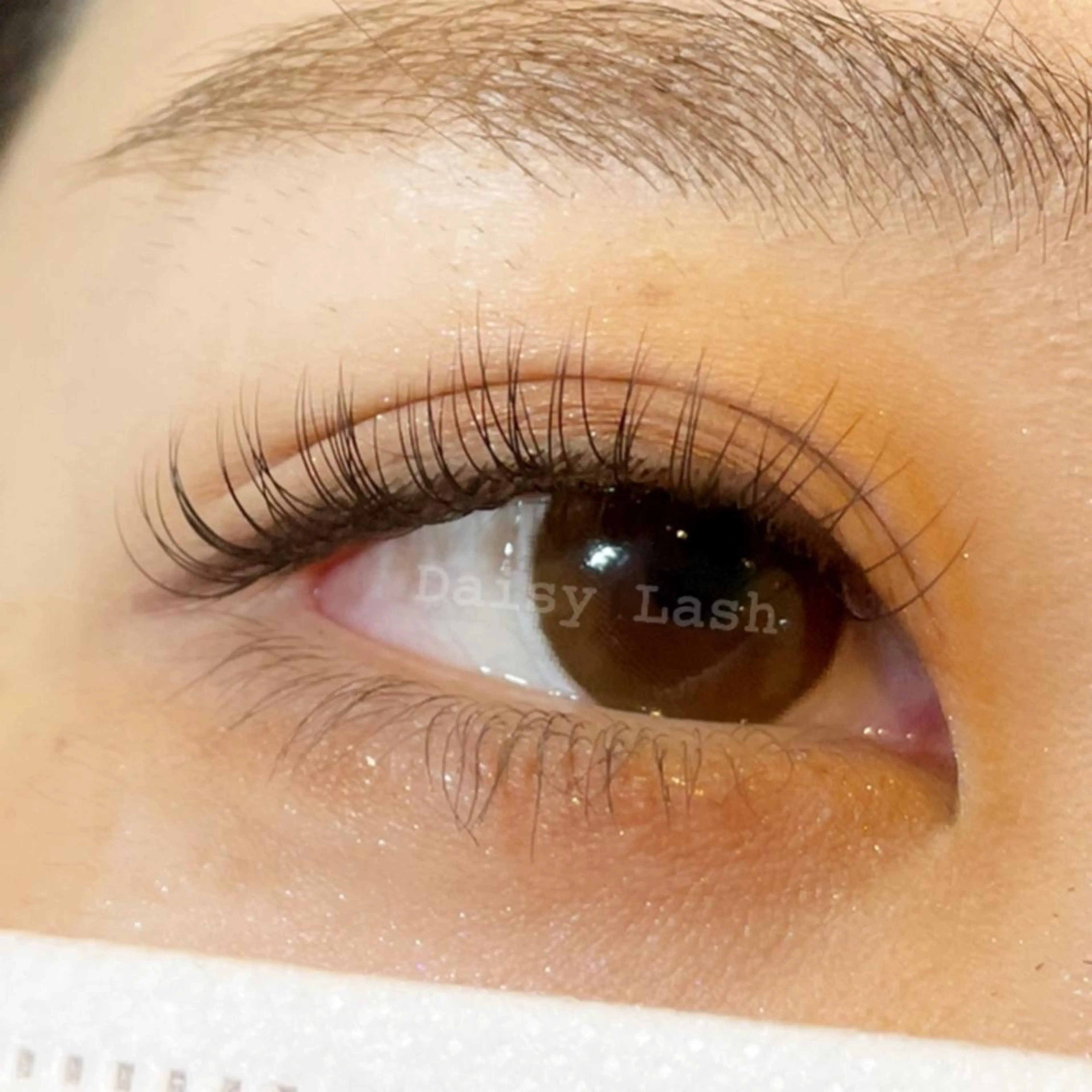 マツエク・マツパ Cカール セーブル Daisy Lash 梅田本店のマツエク・マツパデザイン