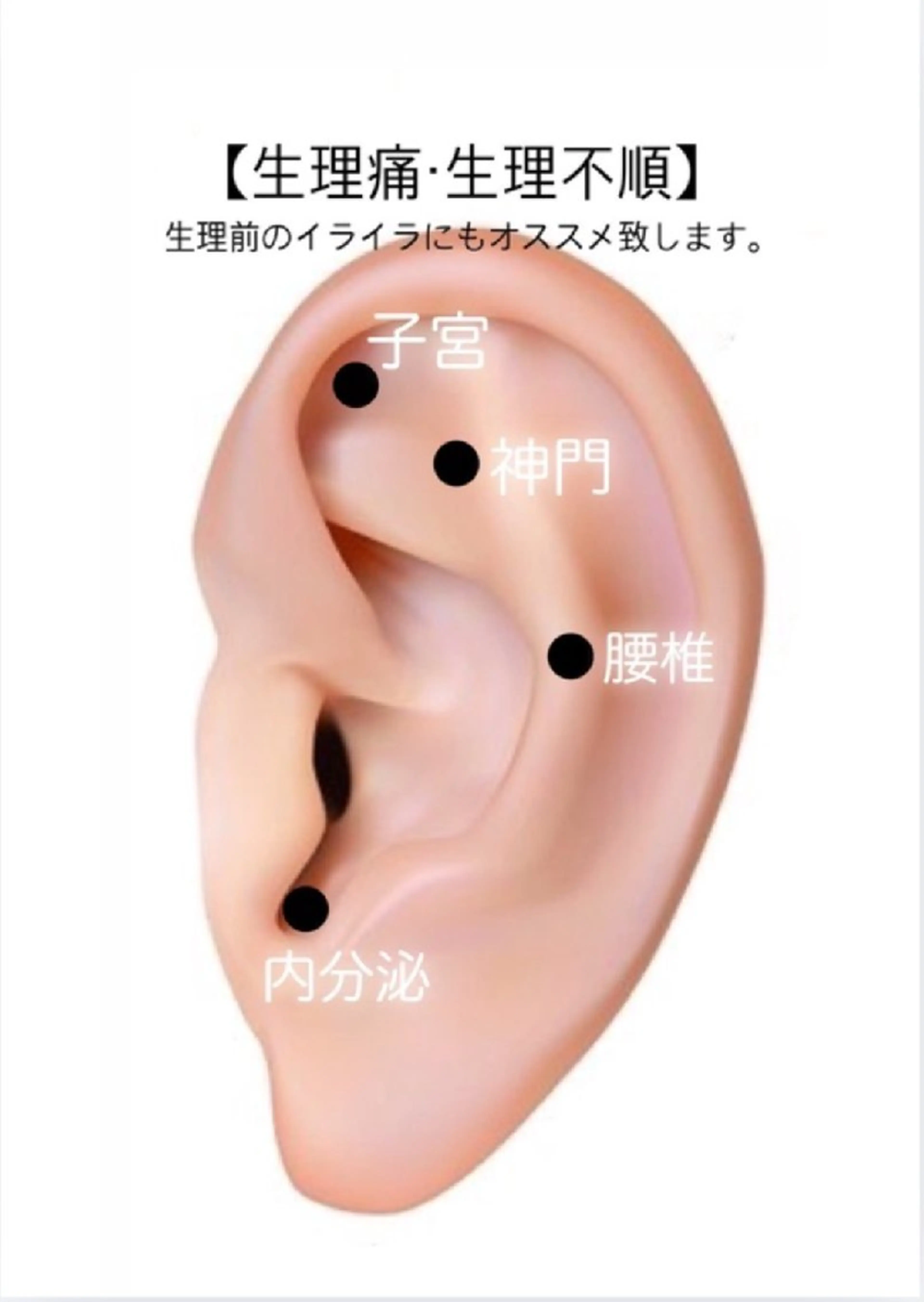  SOLEIL 小玉の眉毛・アイブロウイメージ